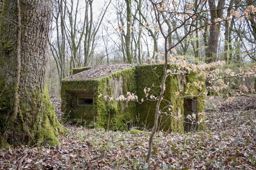 Ligne Maginot - BOIS DE TETING 2 - (Blockhaus pour arme infanterie) - 