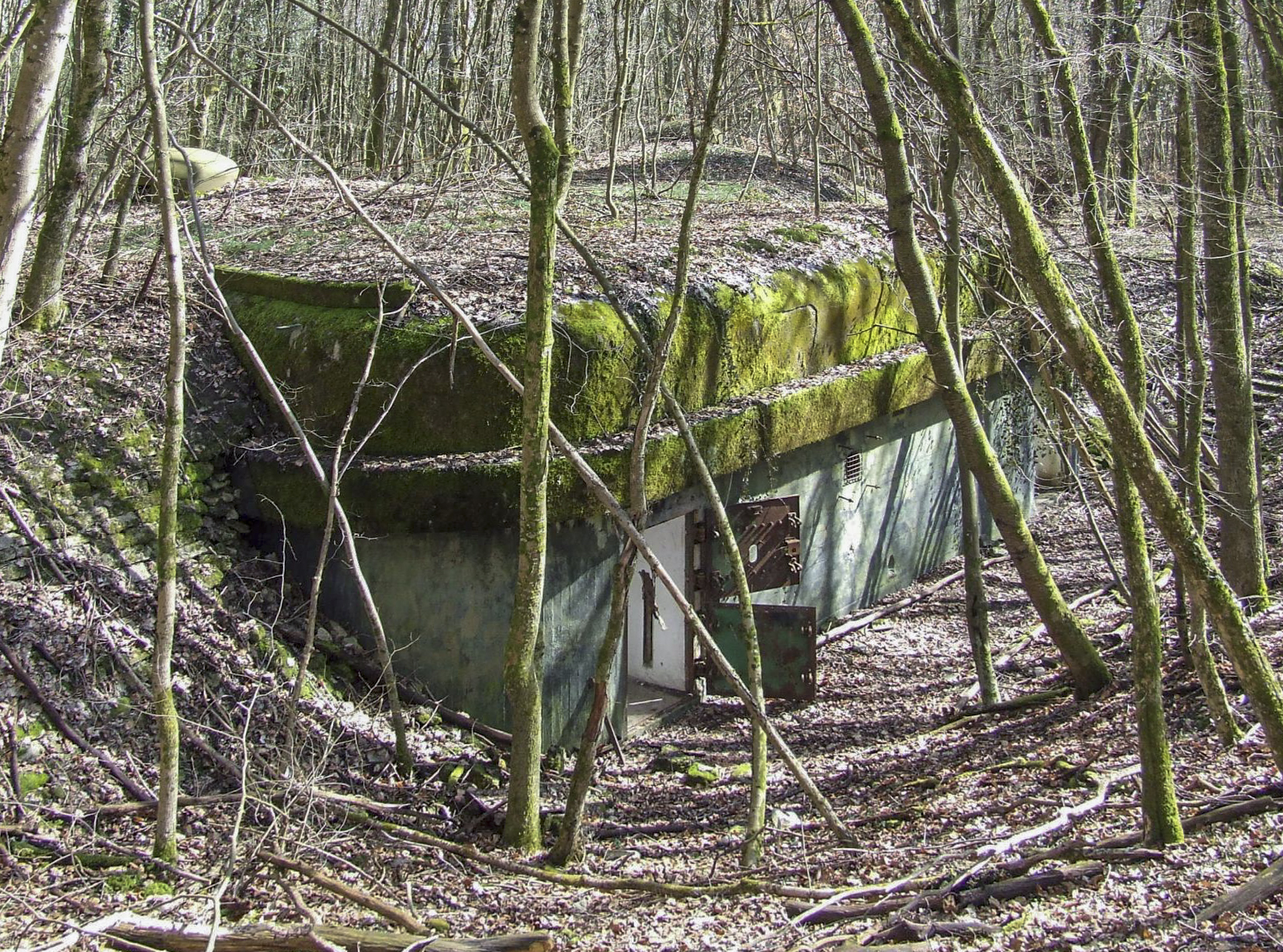Ligne Maginot - BOIS DE LAUDREFANG SUD - C77 - (Casemate d'infanterie - Simple) - La casemate sud - STENGER Mathieu