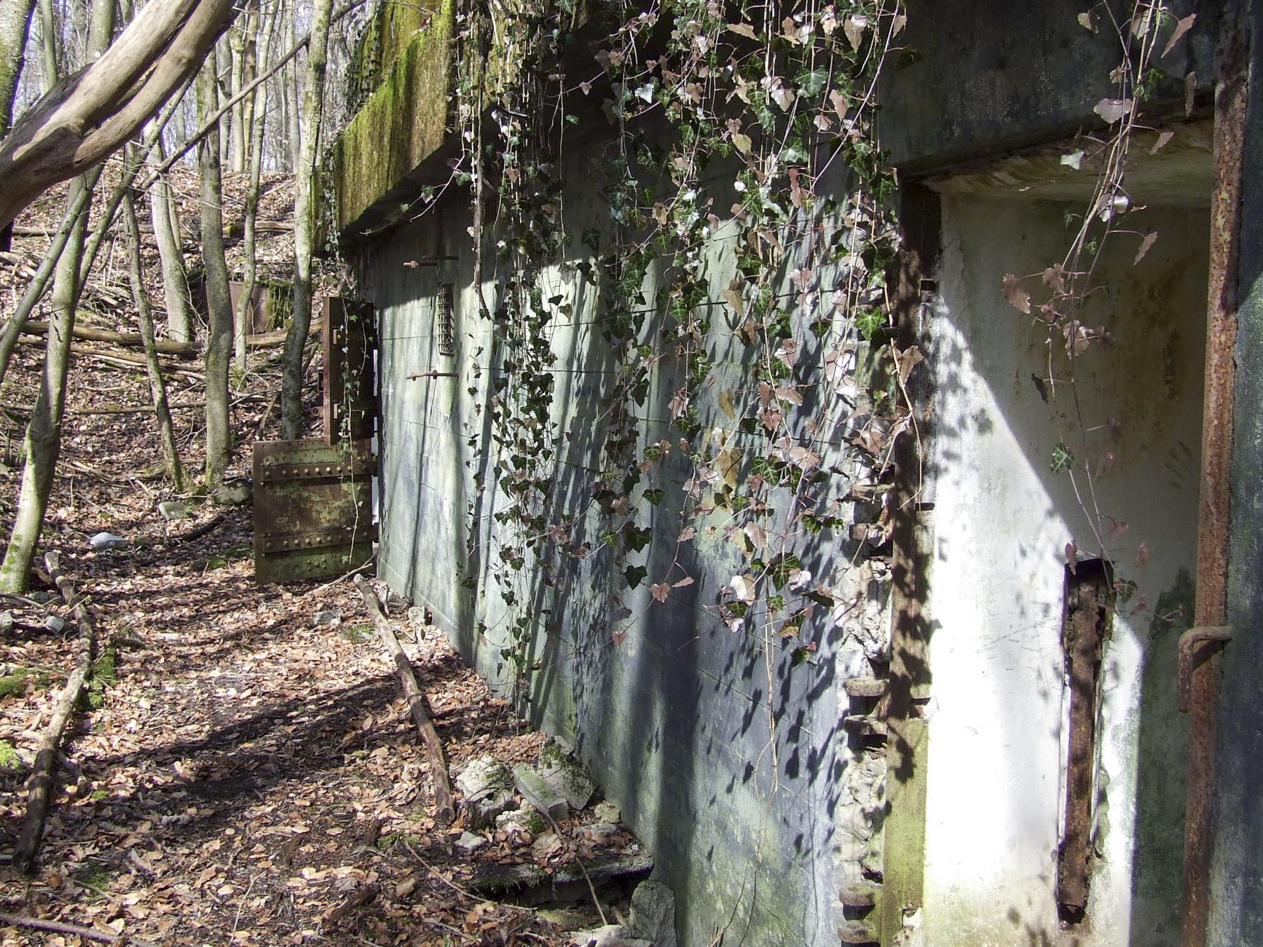 Ligne Maginot - BOIS DE LAUDREFANG SUD - C77 - (Casemate d'infanterie - Simple) - La façade arrière
