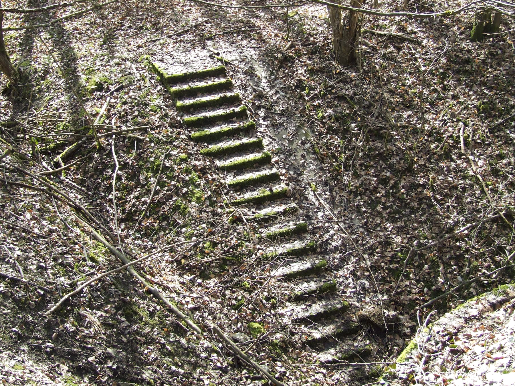 Ligne Maginot - BOIS DE LAUDREFANG SUD - C77 - (Casemate d'infanterie - Simple) - L'escalier d'accès à la casemate
