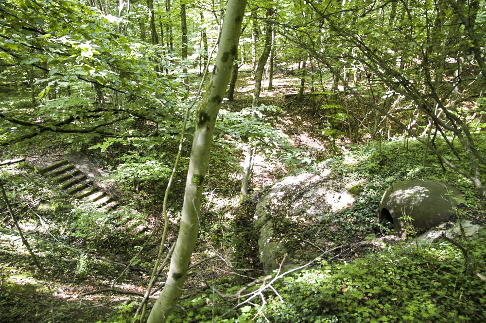 Ligne Maginot - BOIS DE LAUDREFANG SUD - C77 - (Casemate d'infanterie - Simple) - Cloche JM modifiée AM