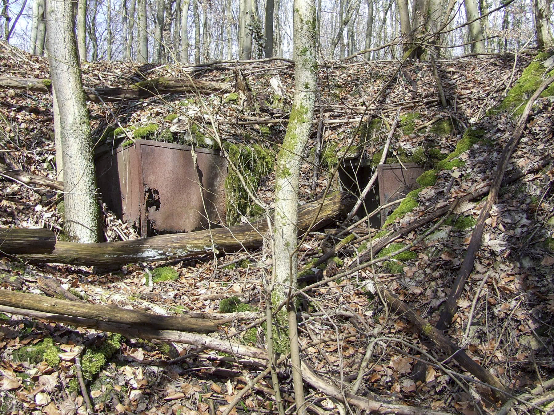 Ligne Maginot - BOIS DE LAUDREFANG SUD - C77 - (Casemate d'infanterie - Simple) - Les niches à mines