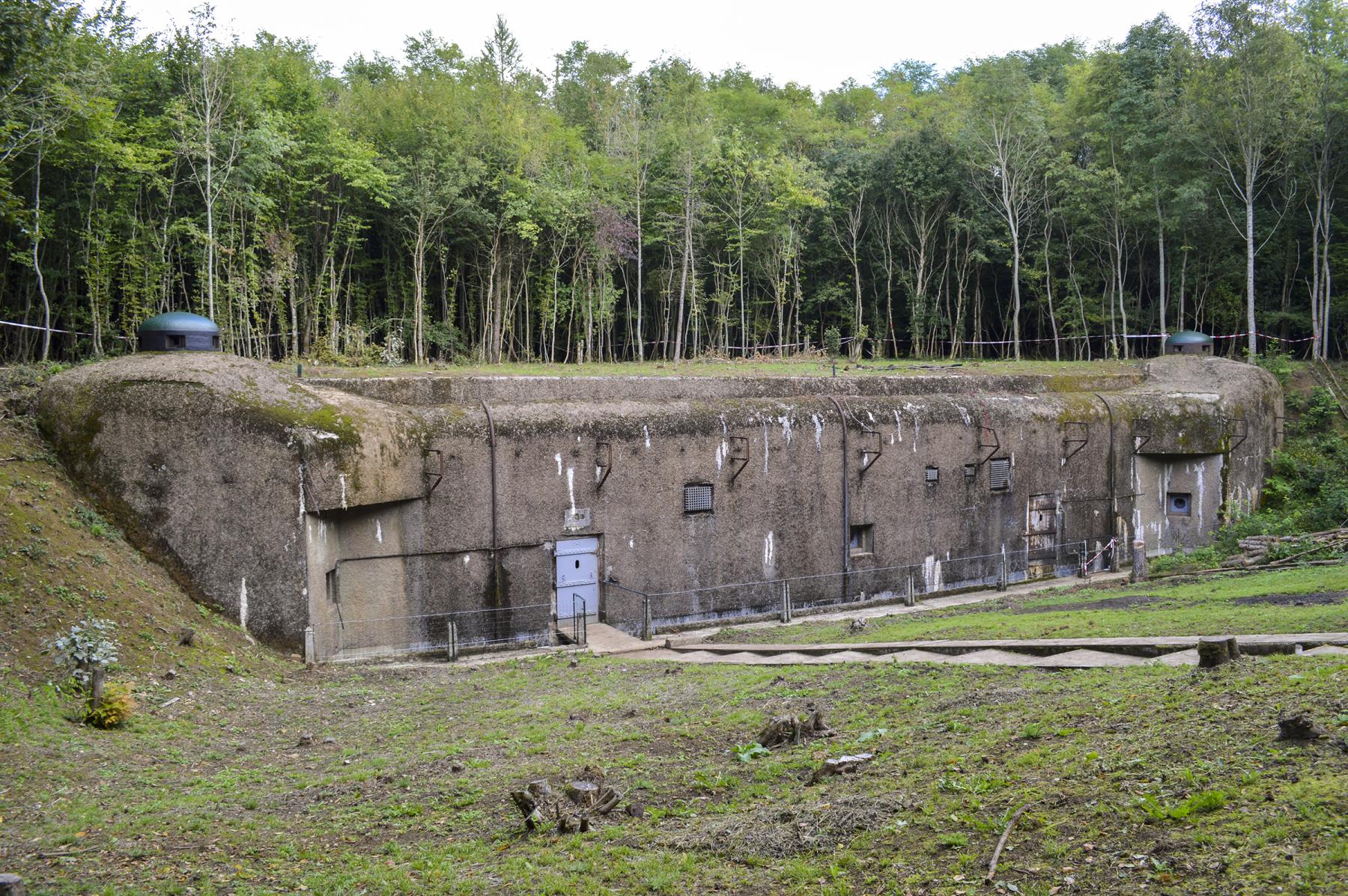 Ligne Maginot - GROS BOIS - X1 (QUARTIER LUDELANGE - I/128°RIF) - (Abri) - Vue d'ensemble en 2013