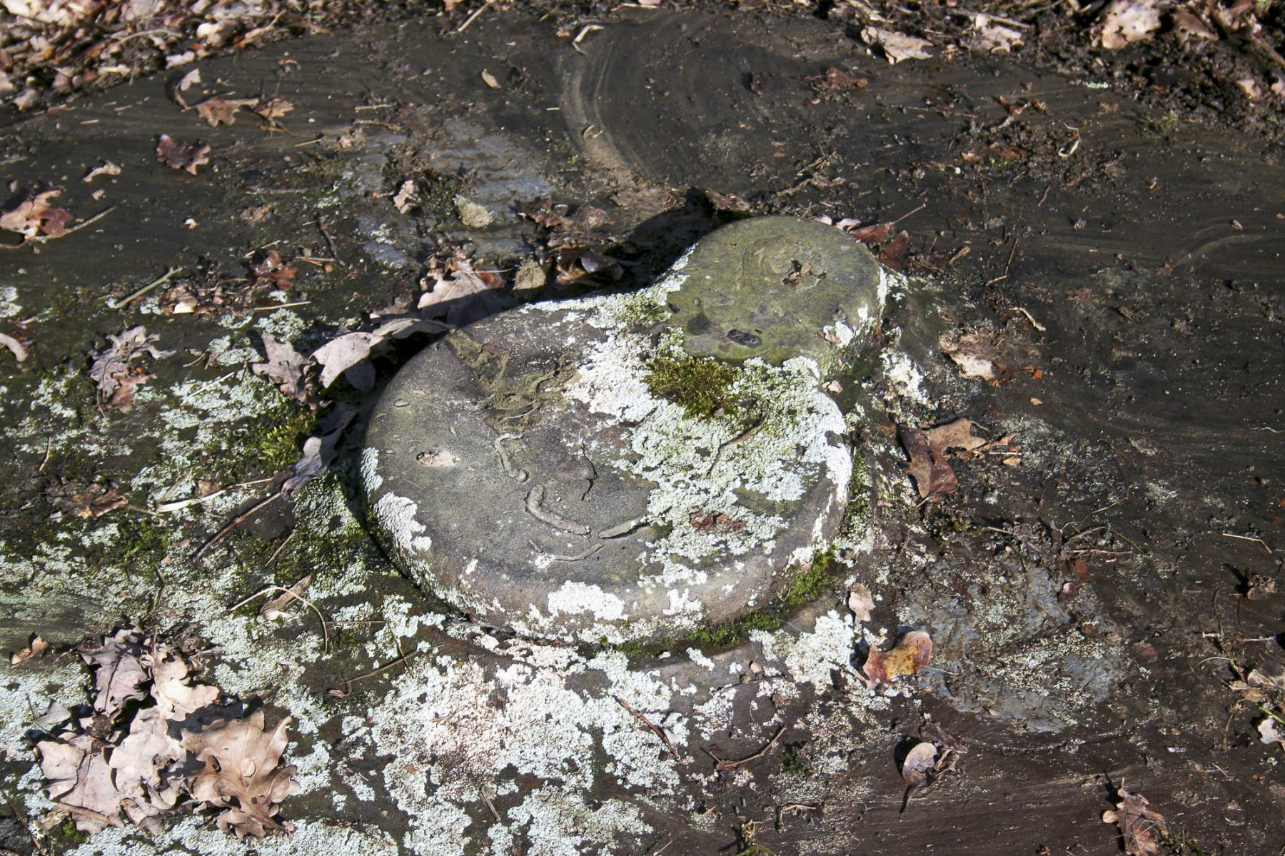 Ligne Maginot - ROUTE DU LUXEMBOURG - O10 - (Observatoire d'artillerie) - Cloche Obs - Michel Teiten