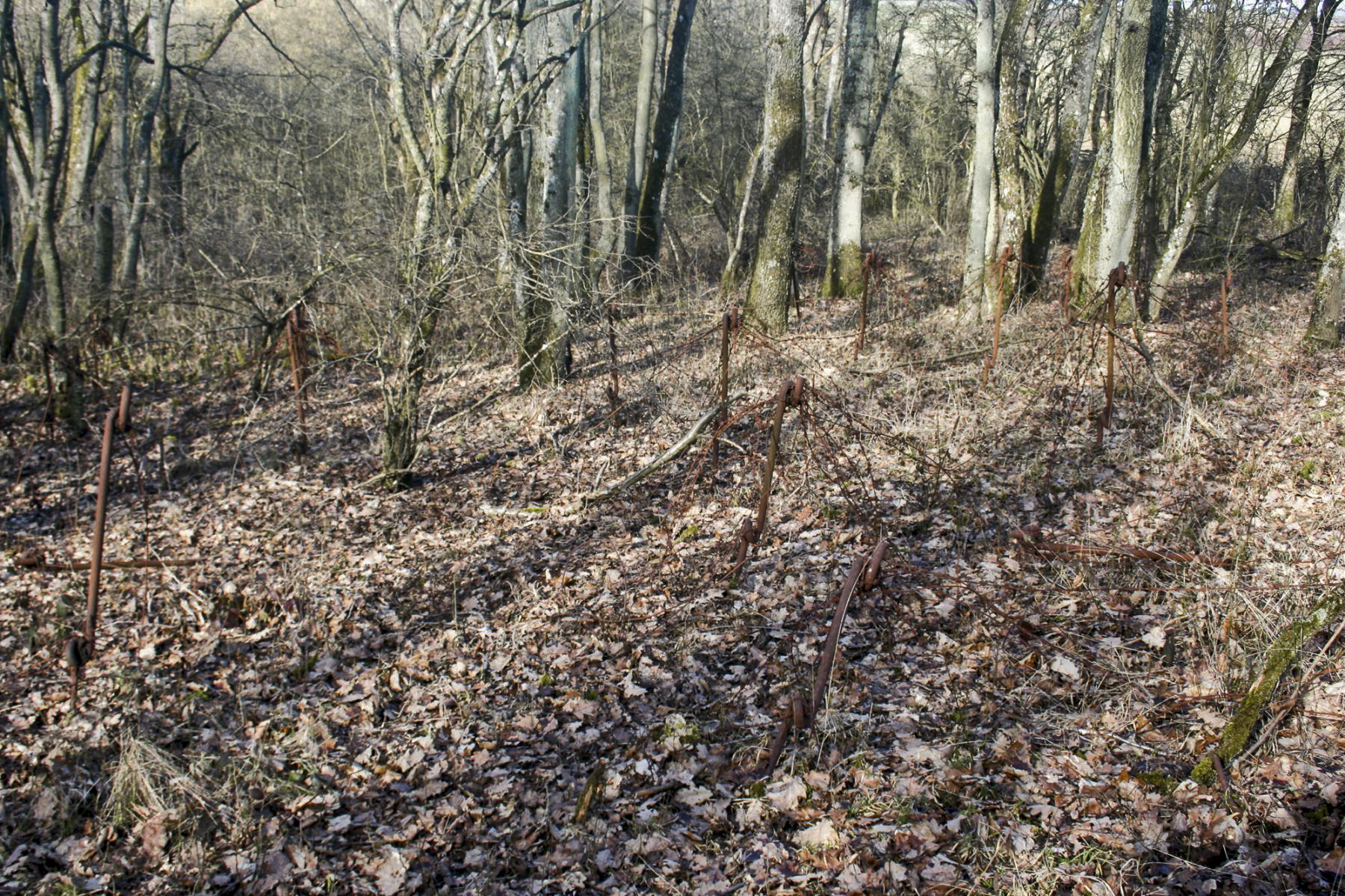 Ligne Maginot - ROUTE DU LUXEMBOURG - O10 - (Observatoire d'artillerie) - Réseau de barbelés autour de l'observatoire - Michel Teiten