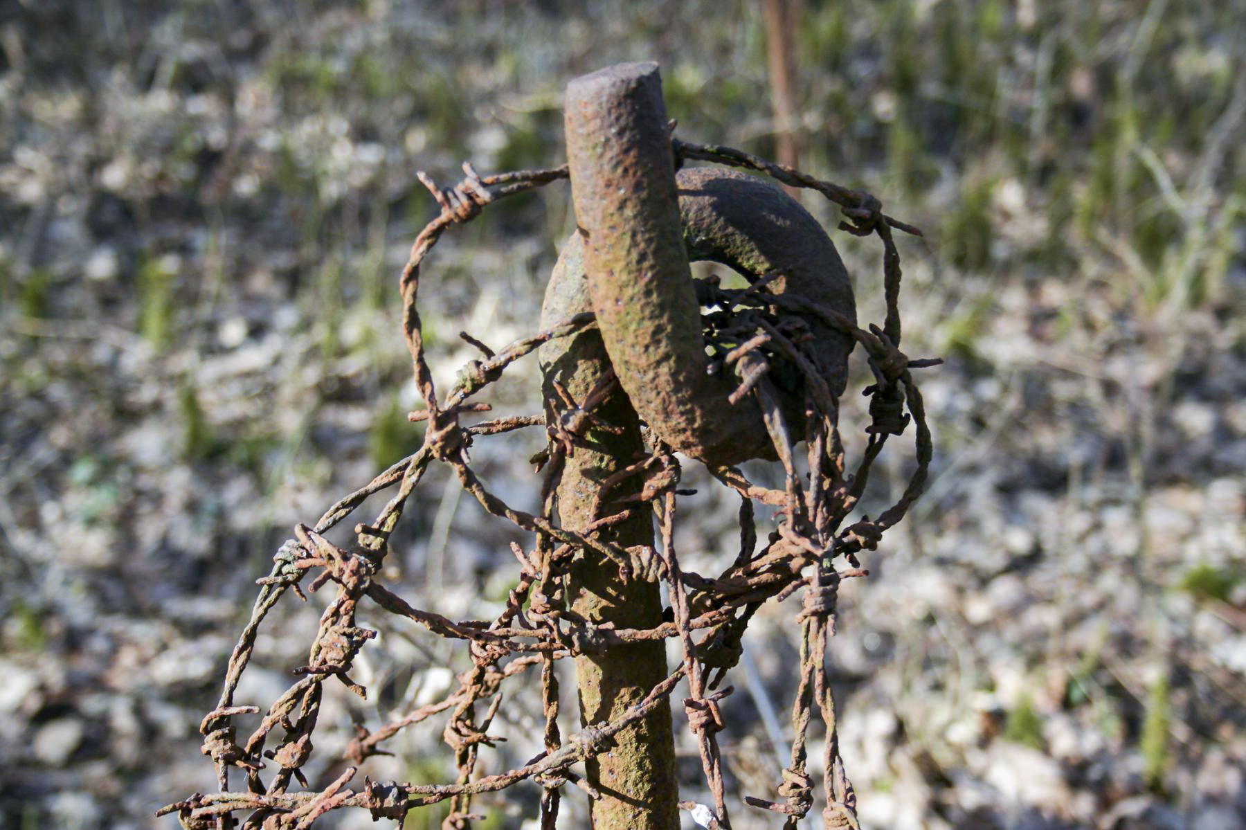 Ligne Maginot - ROUTE DU LUXEMBOURG - O10 - (Observatoire d'artillerie) - Réseau de barbelés autour de l'observatoire - Michel Teiten