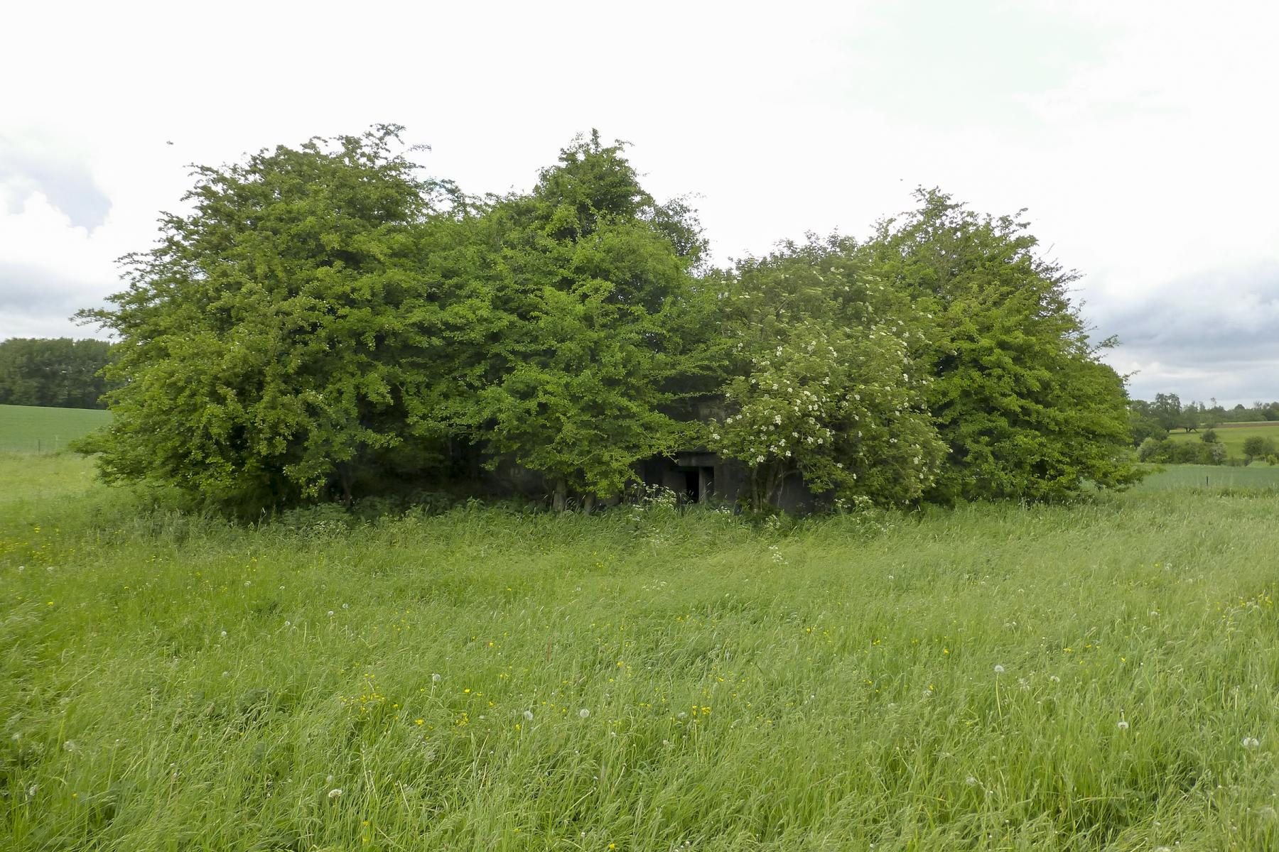 Ligne Maginot - CHEMIN DE FER OUEST - (Blockhaus pour canon) - Noyé dans un bosquet - ukmaginot