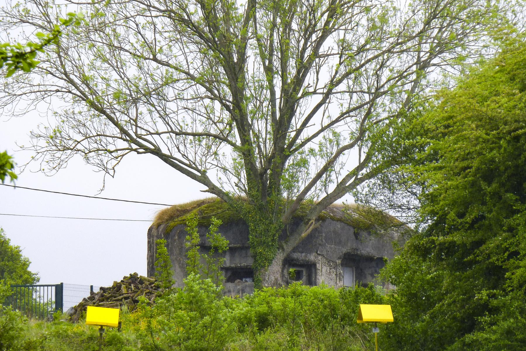 Ligne Maginot - B544 - L'HOGNEAU - (Blockhaus pour canon) - Photo prise du chemin Lucq longeant l'Hogneau. - ukmaginot