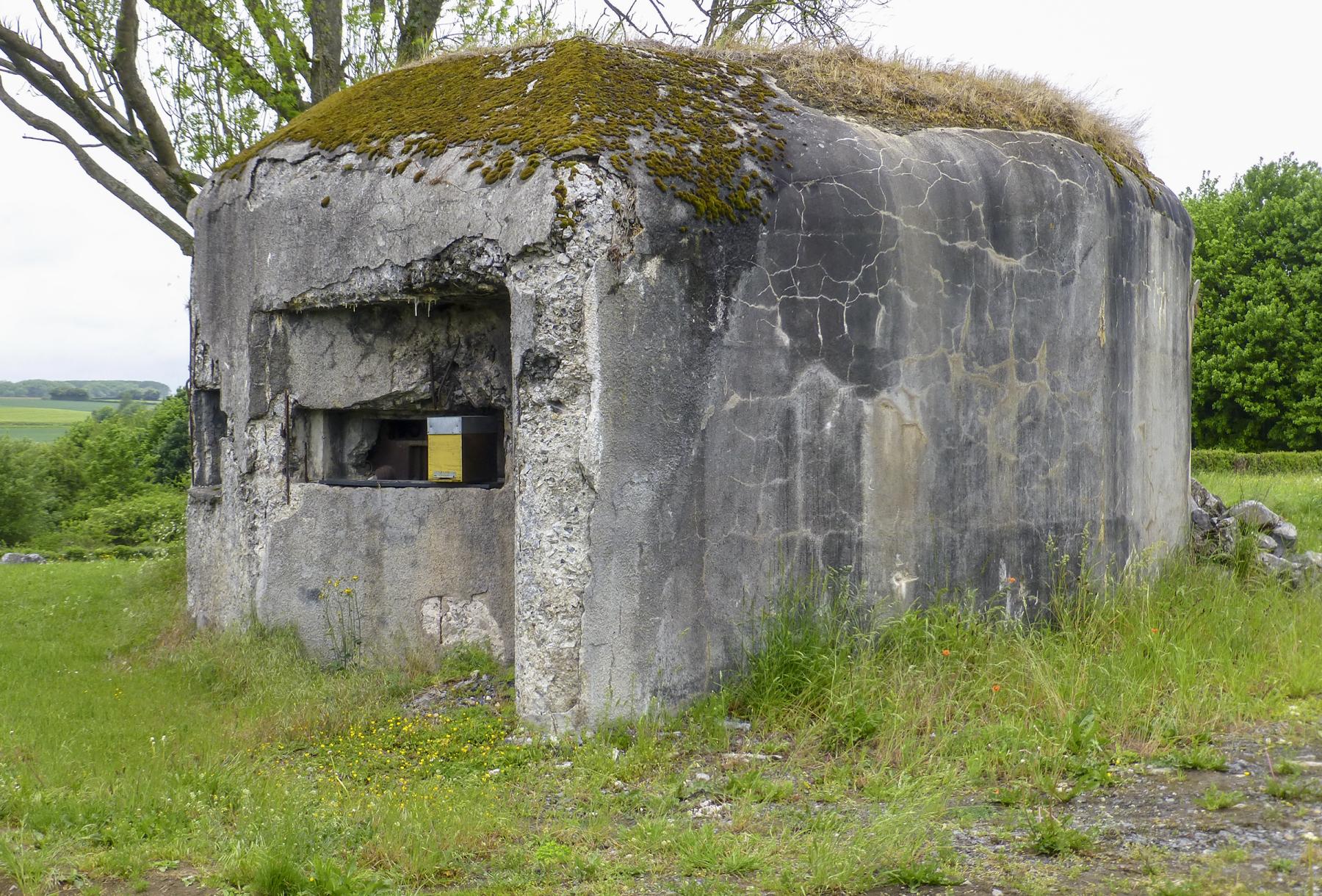 Ligne Maginot - B544 - L'HOGNEAU - (Blockhaus pour canon) -  - ukmaginot