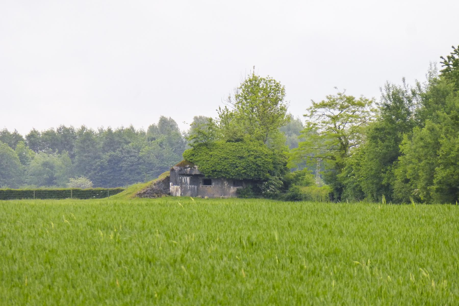 Ligne Maginot - B546 - LA TALPIETTE - (Blockhaus pour canon) -  - ukmaginot