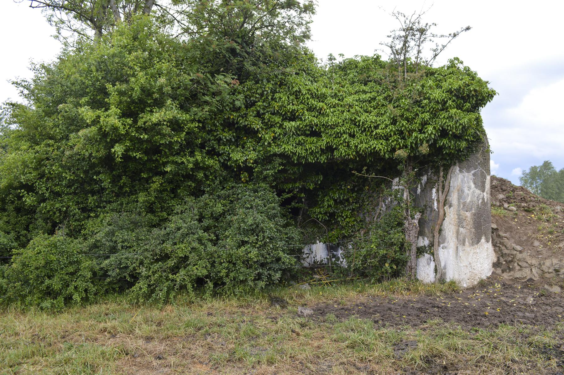 Ligne Maginot - B546 - LA TALPIETTE - (Blockhaus pour canon) -  - ukmaginot