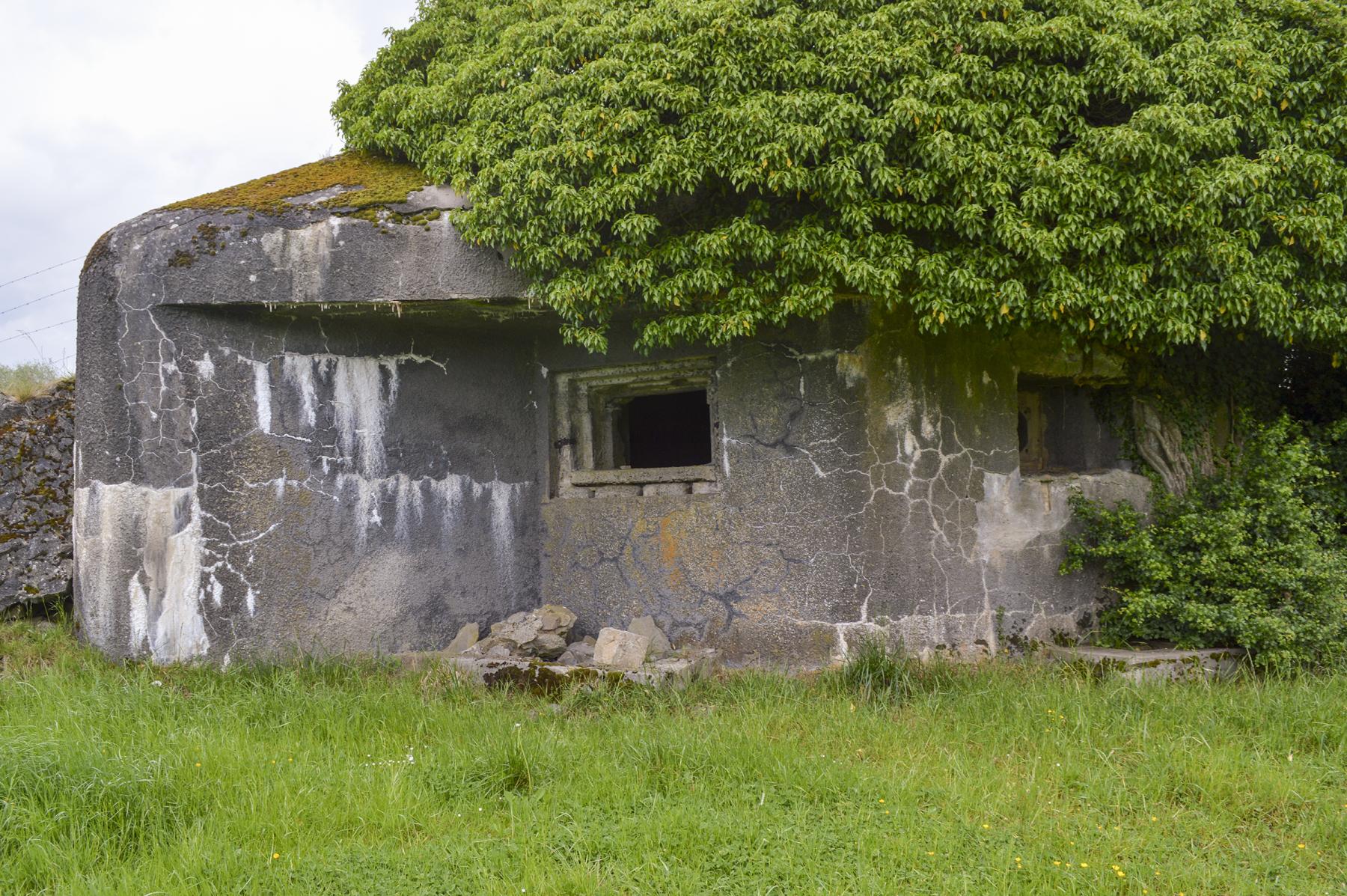 Ligne Maginot - B546 - LA TALPIETTE - (Blockhaus pour canon) -  - ukmaginot