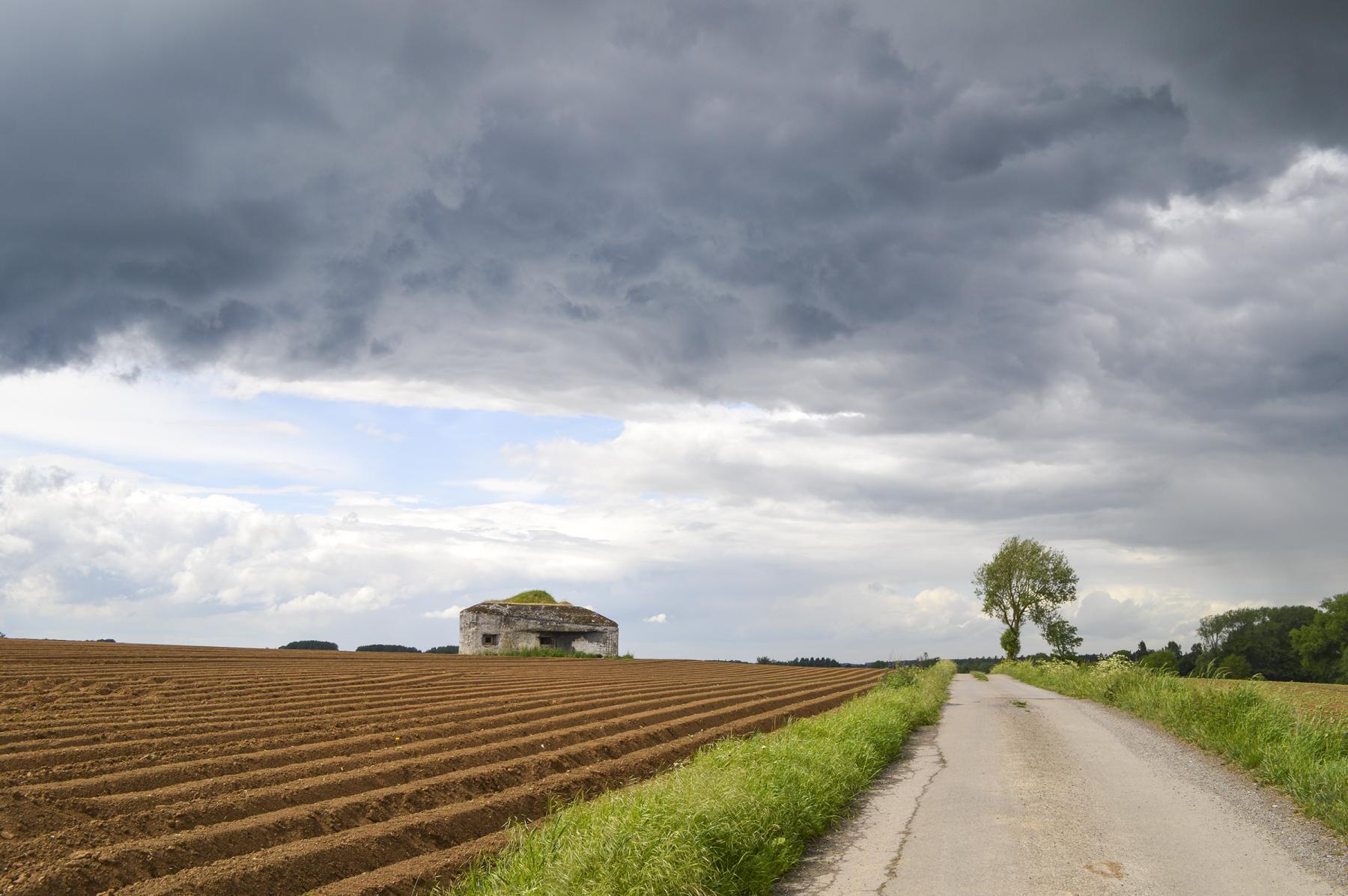 Ligne Maginot - B563 - PETIT CHENE - (Blockhaus pour canon) -  - ukmaginot