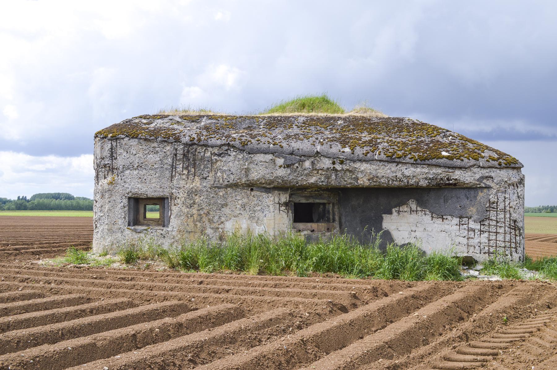 Ligne Maginot - B563 - PETIT CHENE - (Blockhaus pour canon) -  - ukmaginot
