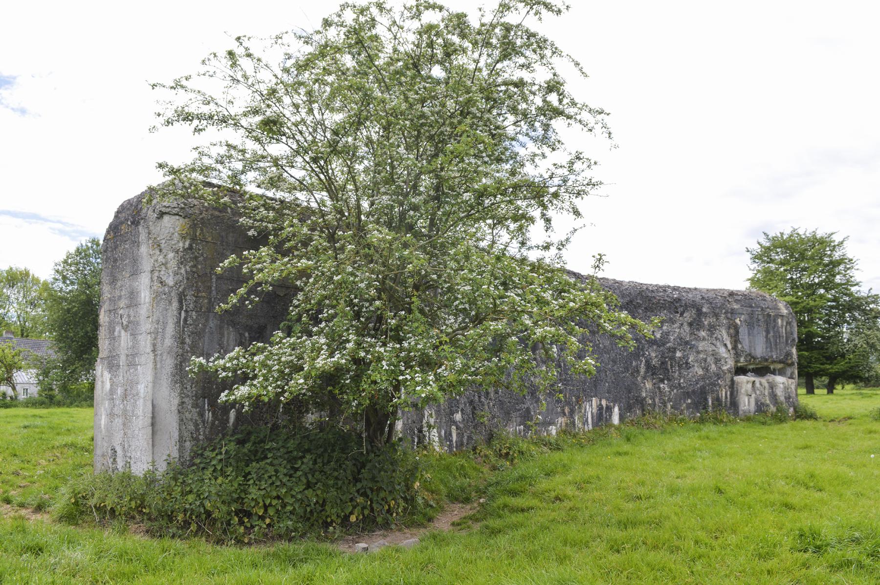 Ligne Maginot - SAINT PIERRE D'HAUMONT - (Blockhaus lourd type STG / STG-FCR - Double) -  - ukmaginot
