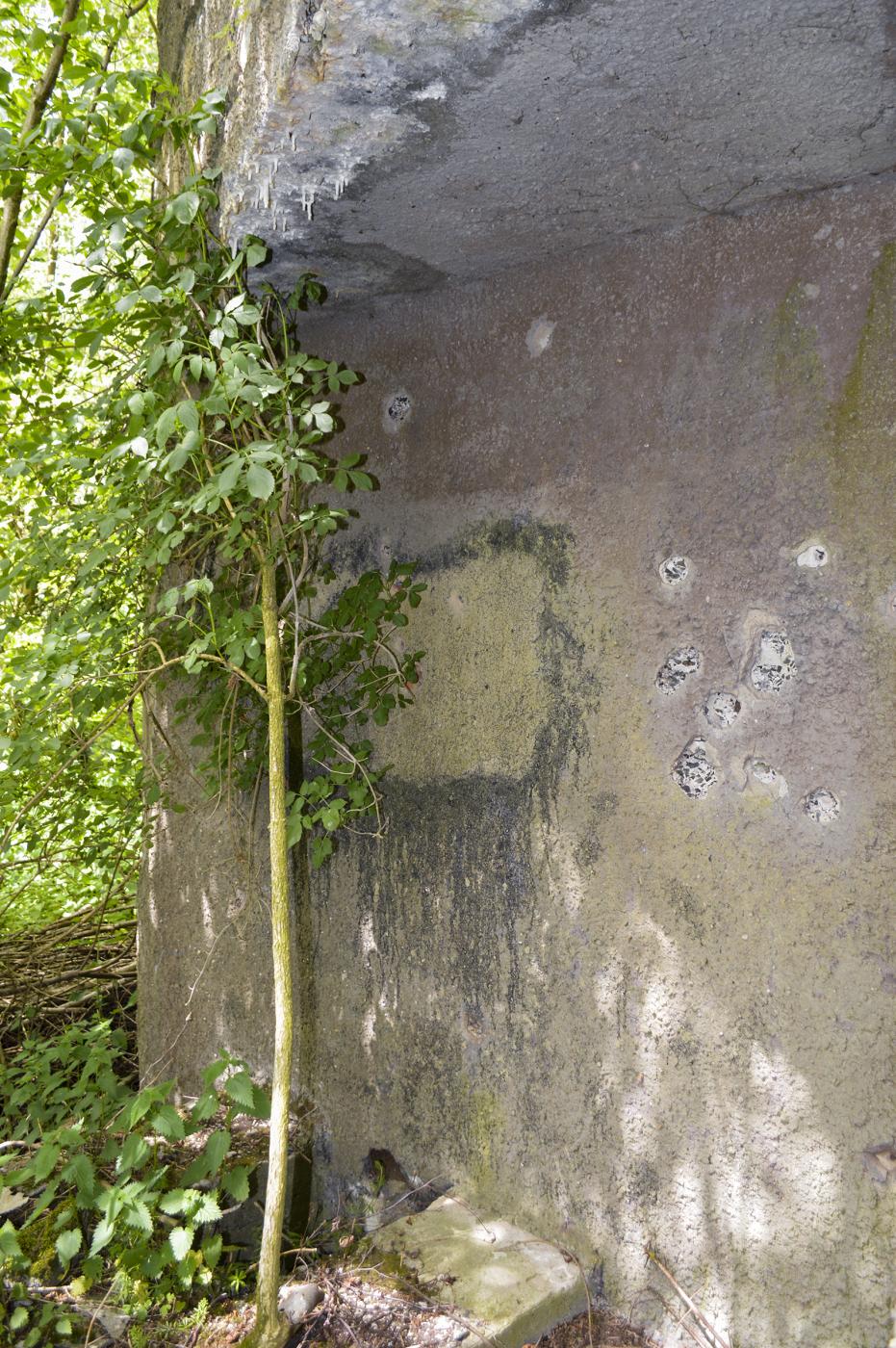 Ligne Maginot - ELESMES - (Blockhaus lourd type STG / STG-FCR - Double) -  - ukmaginot