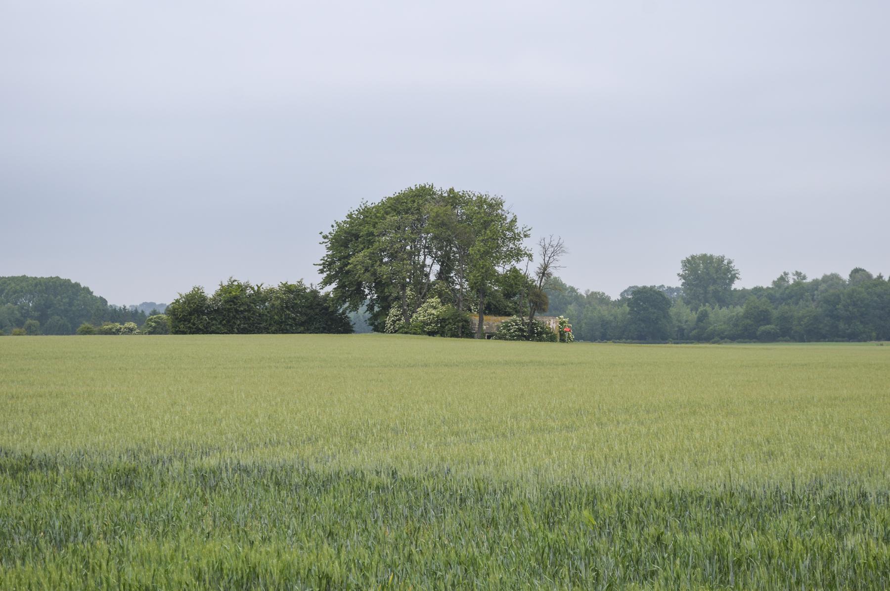 Ligne Maginot - FERME JEAN ANSART - (Blockhaus lourd type STG / STG-FCR - Double) -  - ukmaginot