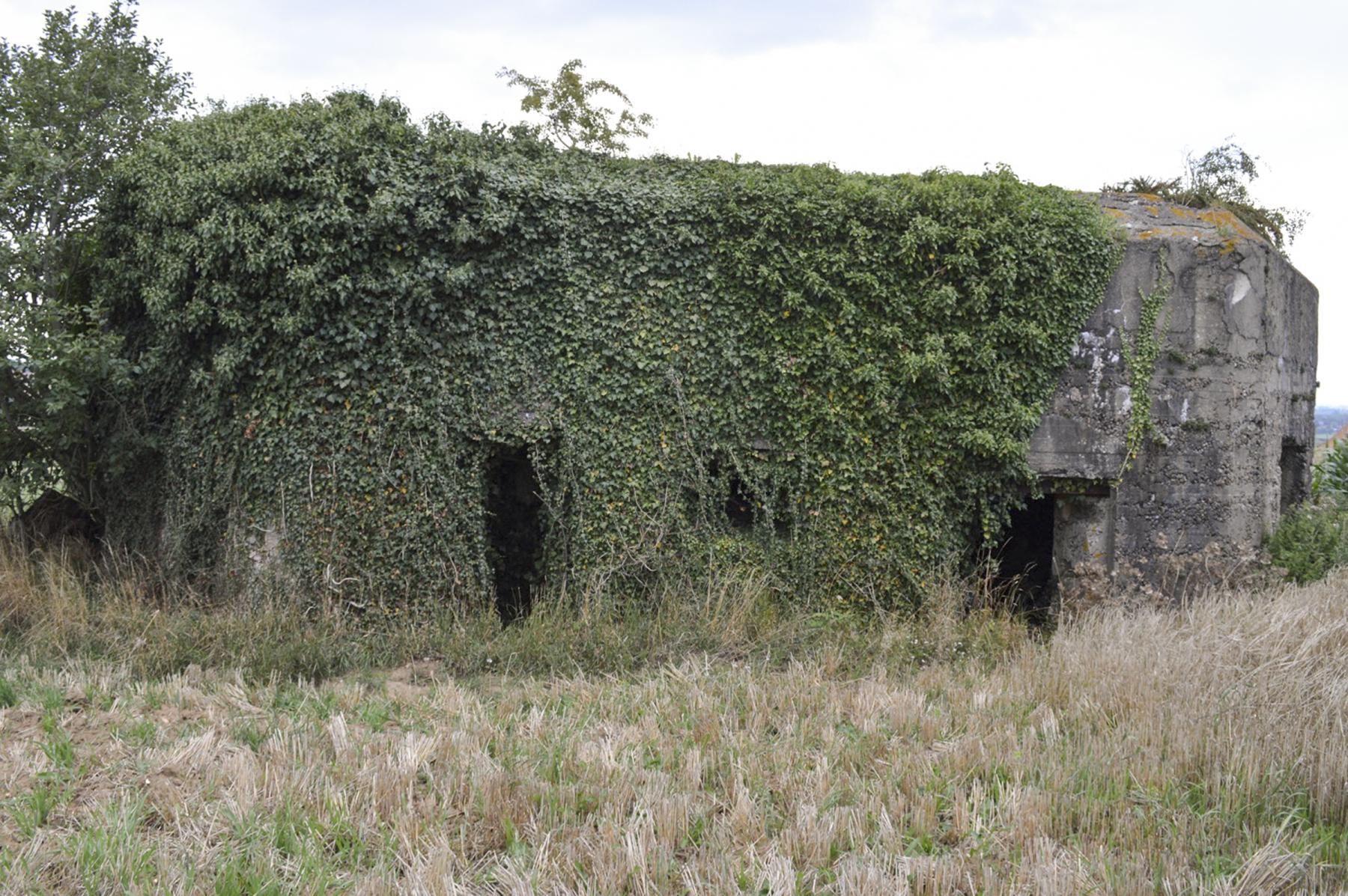 Ligne Maginot - B175 - LEVRETTE - (Blockhaus pour canon) - Les entrées - ukmaginot