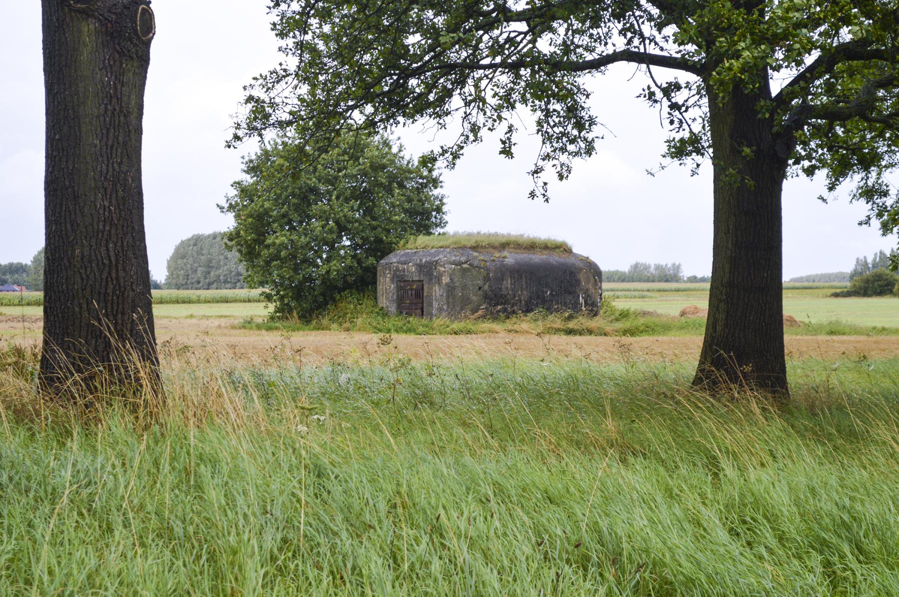 Ligne Maginot - B339 - CENSE DE COBRIEUX - (Blockhaus pour canon) -  - ukmaginot