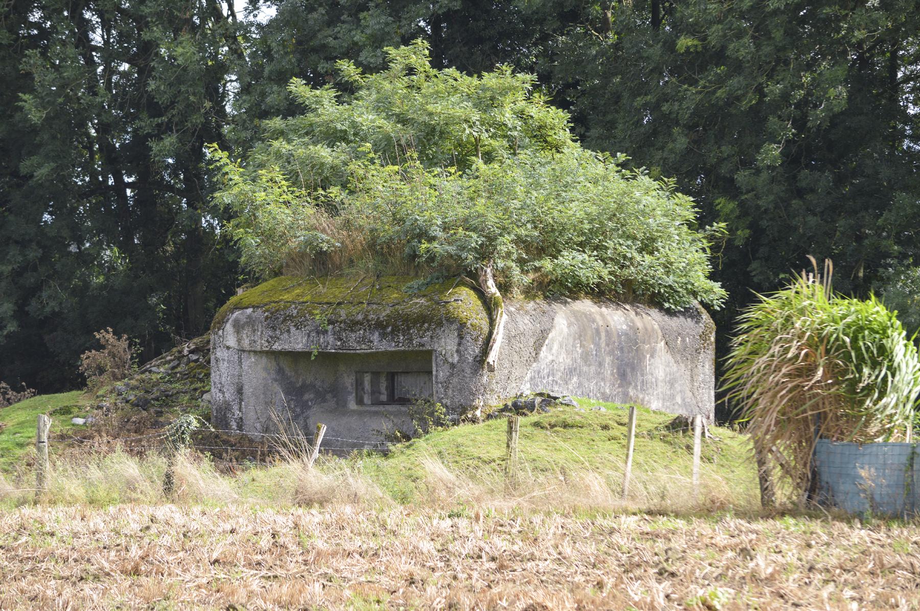 Ligne Maginot - B348 - PONT DE FRANCE - (Blockhaus pour canon) -  - ukmaginot
