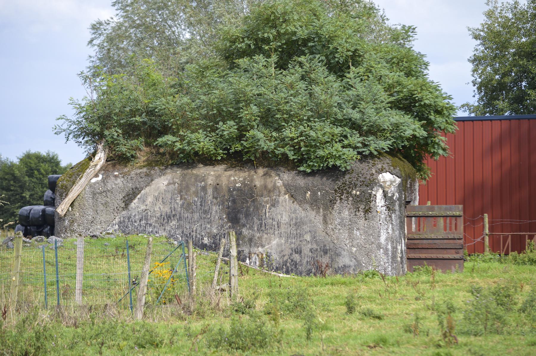 Ligne Maginot - B348 - PONT DE FRANCE - (Blockhaus pour canon) -  - ukmaginot