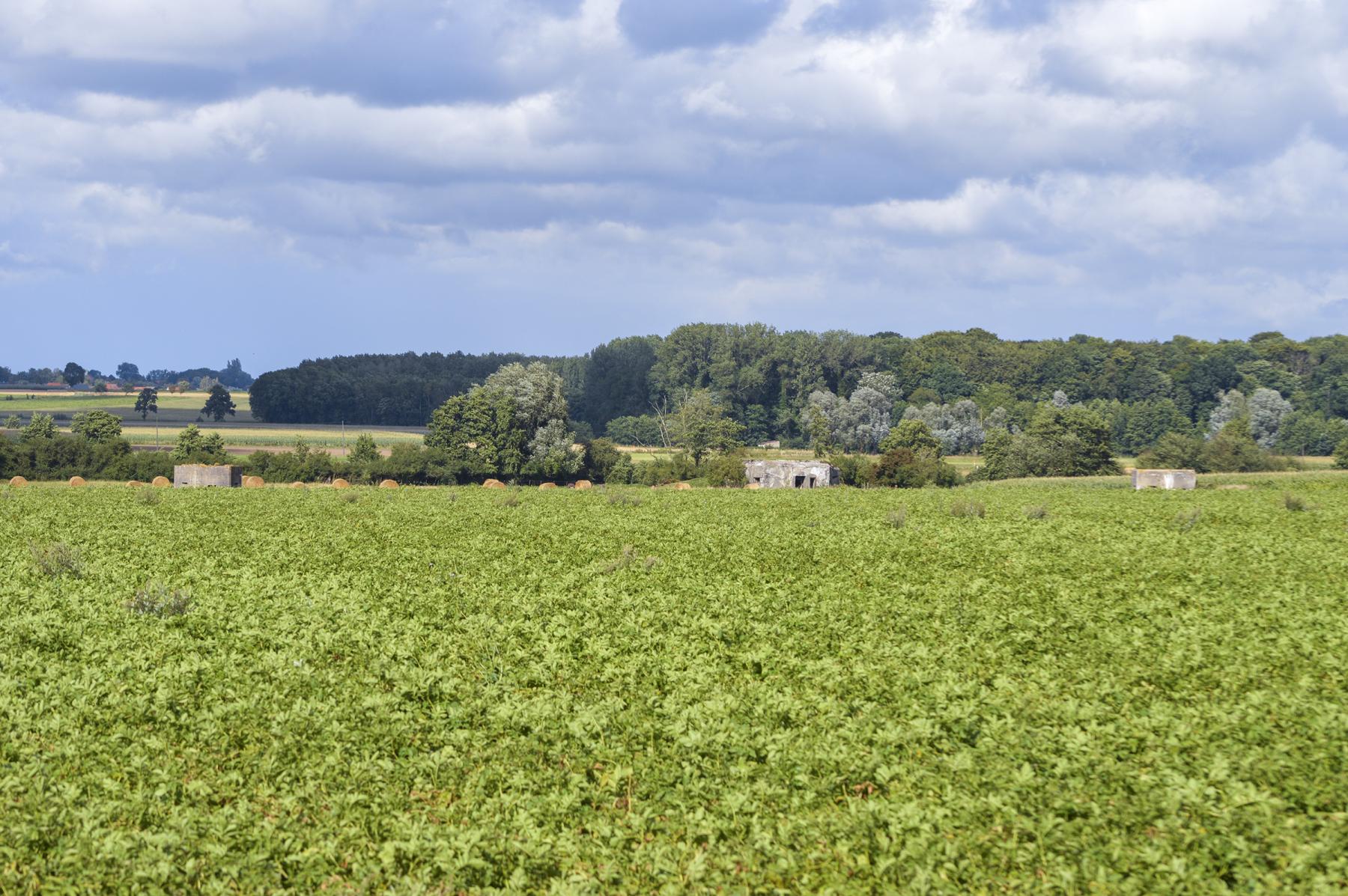 Ligne Maginot - B356 - PONT DU CHATEAU - (Blockhaus pour canon) - Le blockhaus vu de loin - ukmaginot
