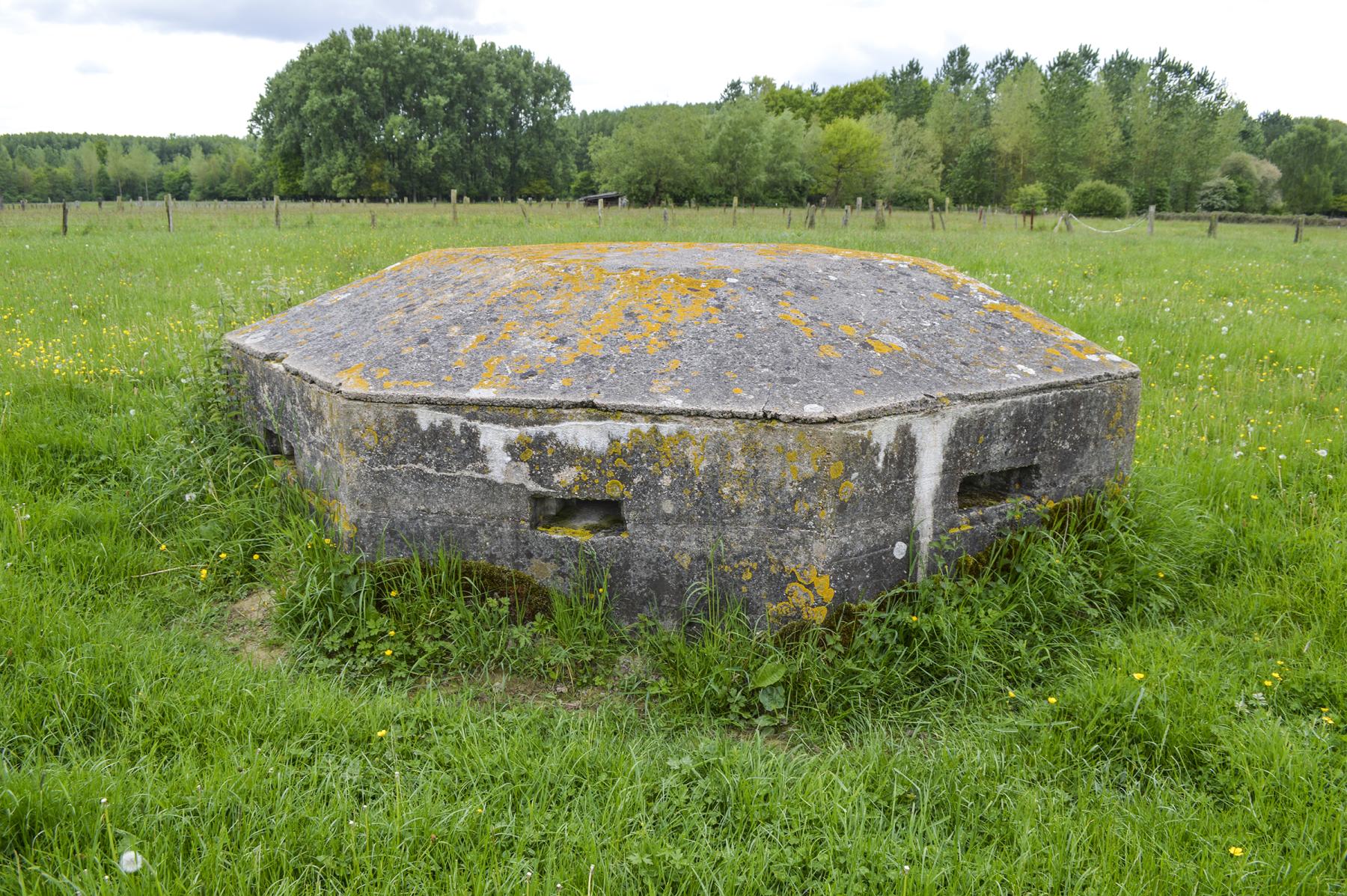 Ligne Maginot - B327 - BOIS DU SARTEAU - (Blockhaus pour arme infanterie) -  - ukmaginot