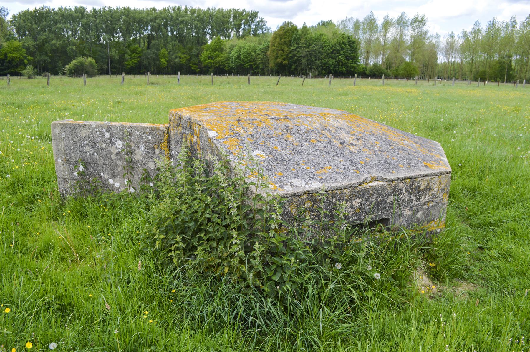 Ligne Maginot - B327 - BOIS DU SARTEAU - (Blockhaus pour arme infanterie) -  - ukmaginot