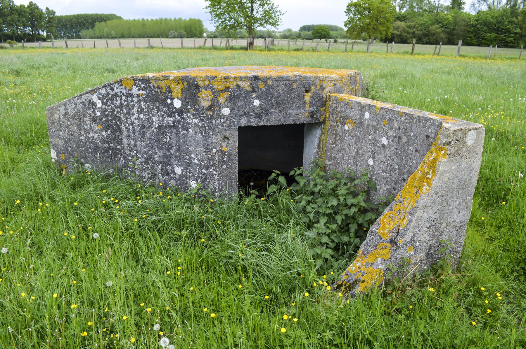 Ligne Maginot - B327 - BOIS DU SARTEAU - (Blockhaus pour arme infanterie) -  - ukmaginot