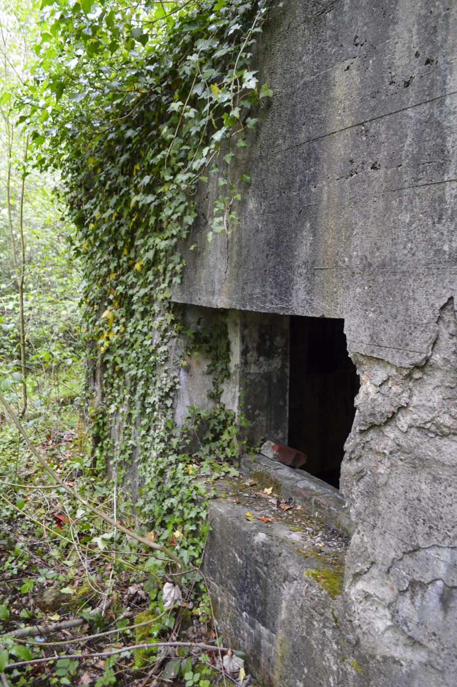 Ligne Maginot - BEF 301 - BOIS DE LA TASSONNIERE - (Blockhaus pour canon) -  - ukmaginot