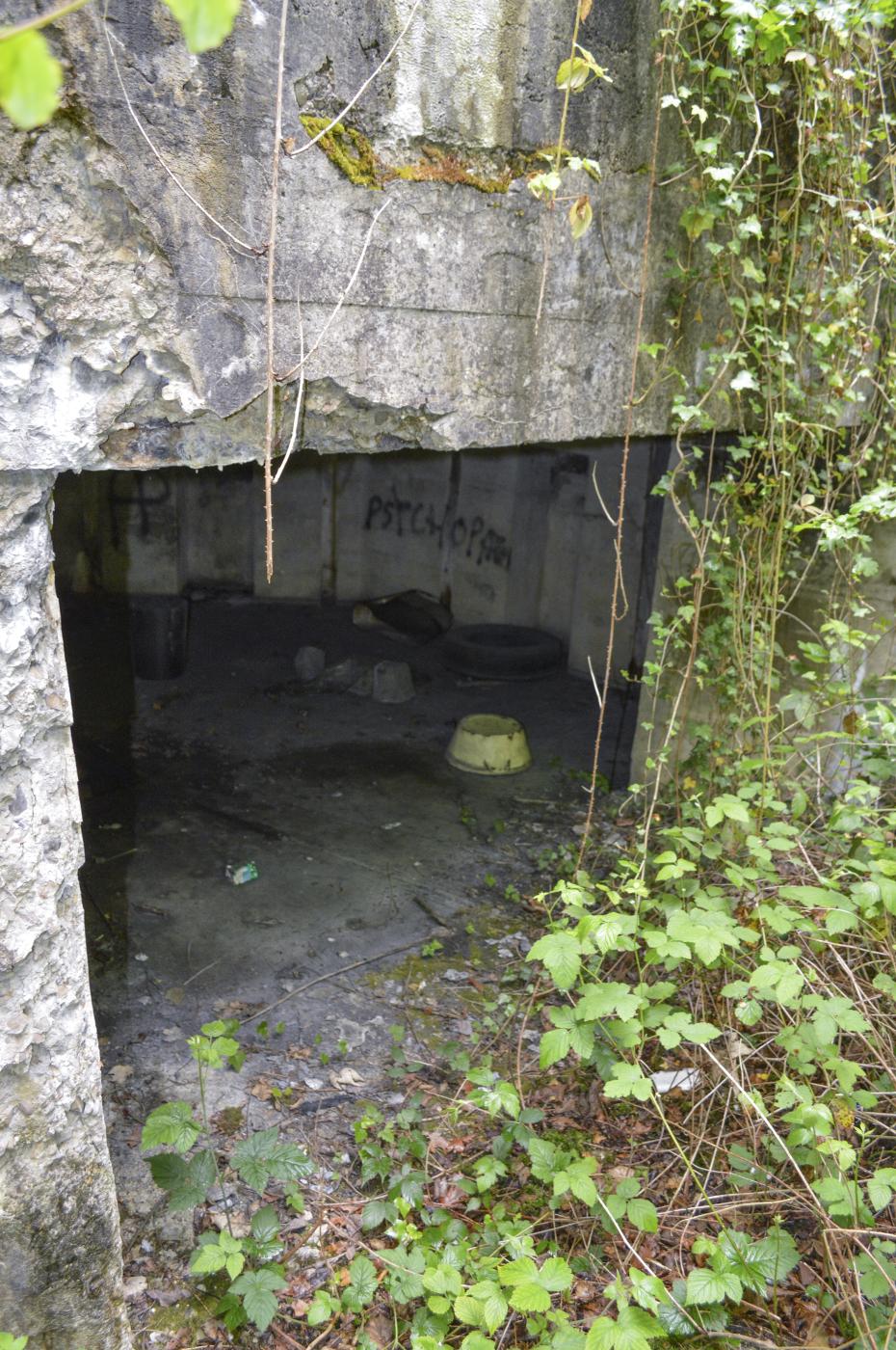 Ligne Maginot - BEF 301 - BOIS DE LA TASSONNIERE - (Blockhaus pour canon) - L'entrée - ukmaginot