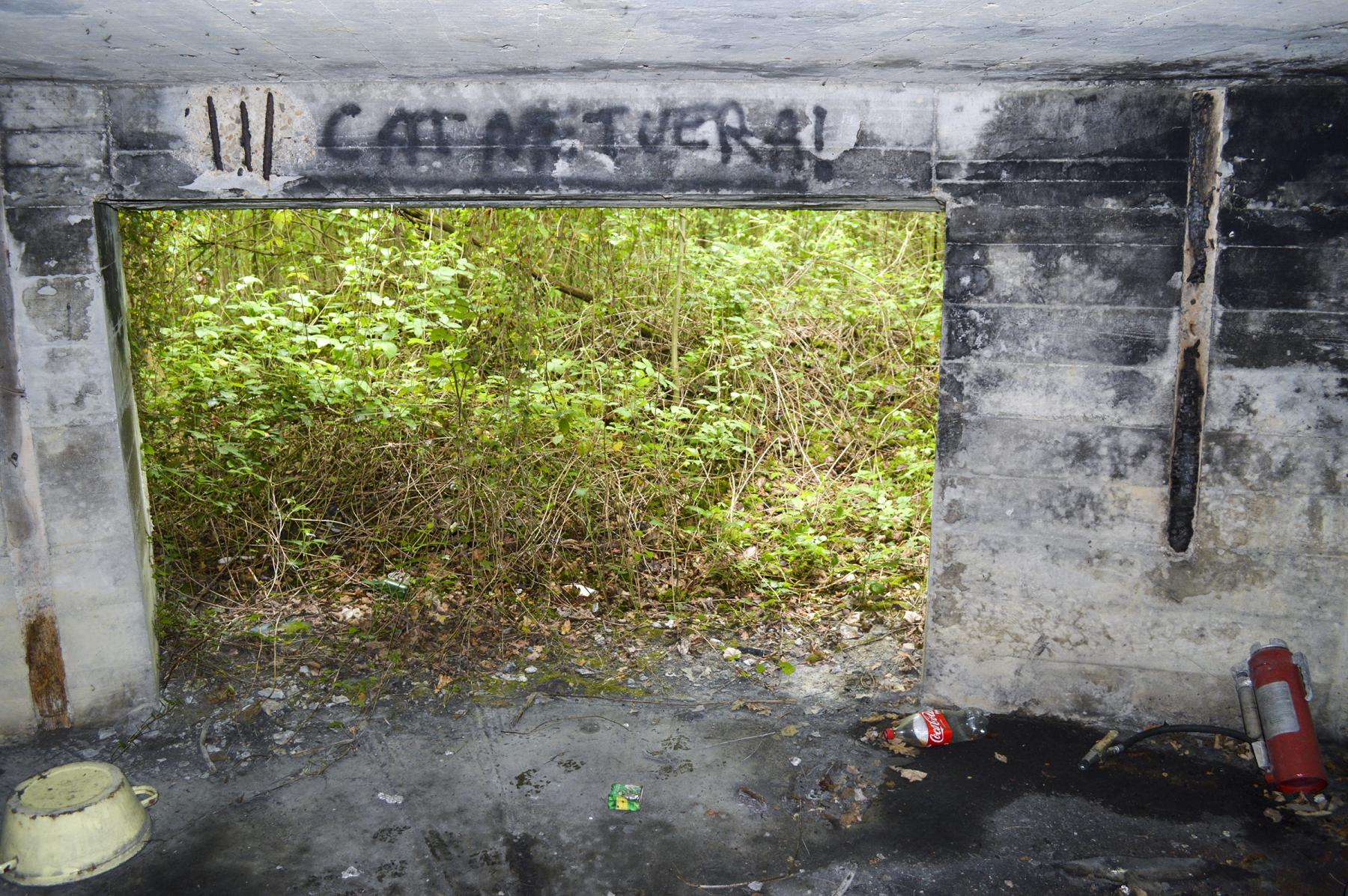 Ligne Maginot - BEF 301 - BOIS DE LA TASSONNIERE - (Blockhaus pour canon) - L'entrée - ukmaginot