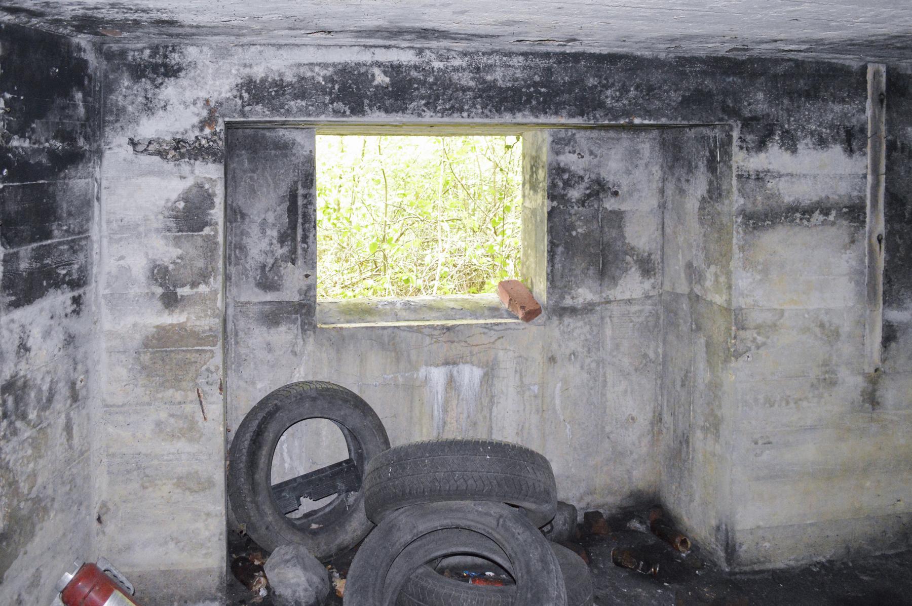 Ligne Maginot - BEF 301 - BOIS DE LA TASSONNIERE - (Blockhaus pour canon) -  - ukmaginot