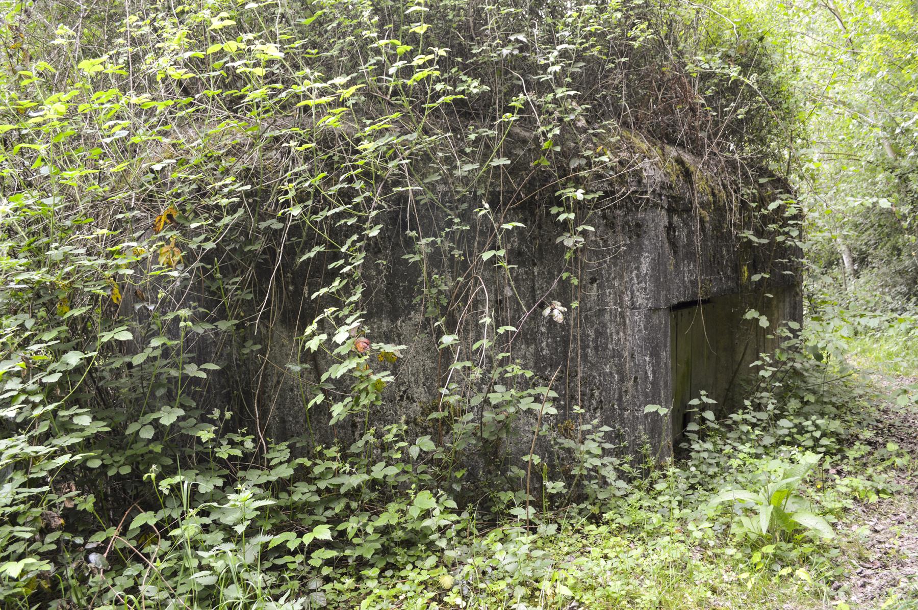 Ligne Maginot - B347 - BOIS DE VARLET SUD 2 - (Blockhaus pour canon) -  - ukmaginot