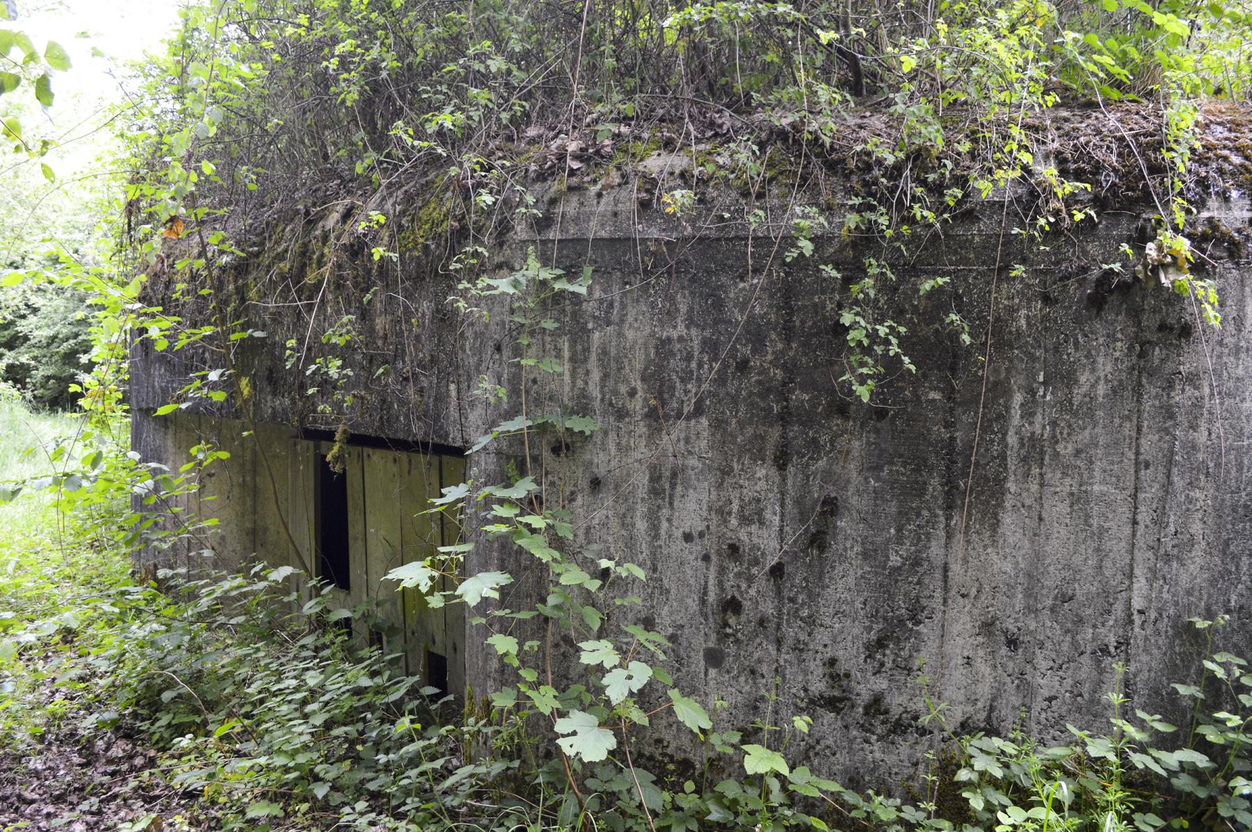 Ligne Maginot - B347 - BOIS DE VARLET SUD 2 - (Blockhaus pour canon) -  - ukmaginot