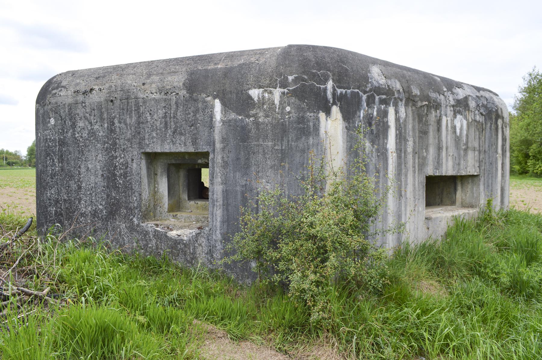 Ligne Maginot - B346 - BOIS DE VARLET SUD 1 - (Blockhaus pour canon) -  - ukmaginot