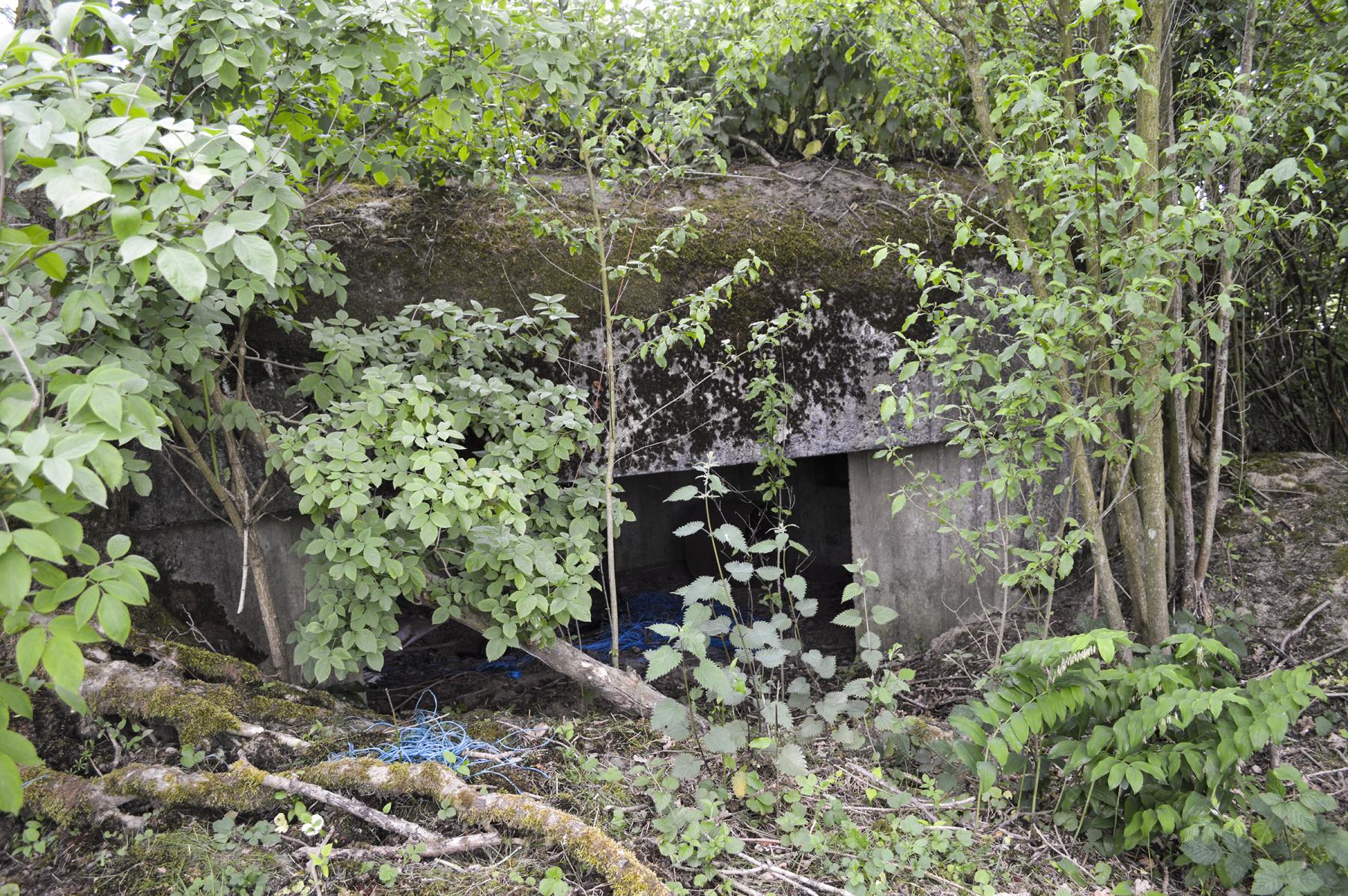 Ligne Maginot - B344 - BOIS DE VARLET NORD - (Blockhaus pour canon) - L'entrée - ukmaginot