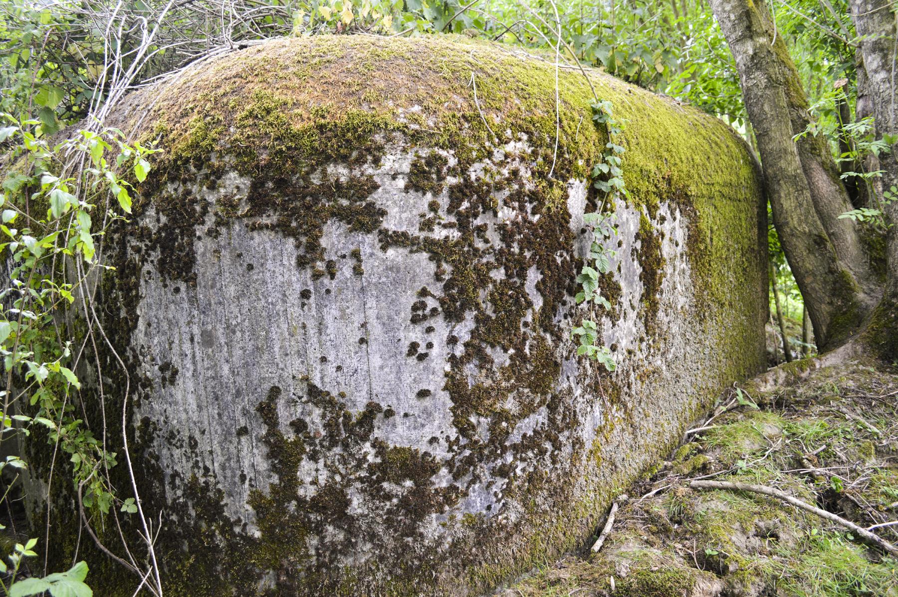 Ligne Maginot - B344 - BOIS DE VARLET NORD - (Blockhaus pour canon) -  - ukmaginot