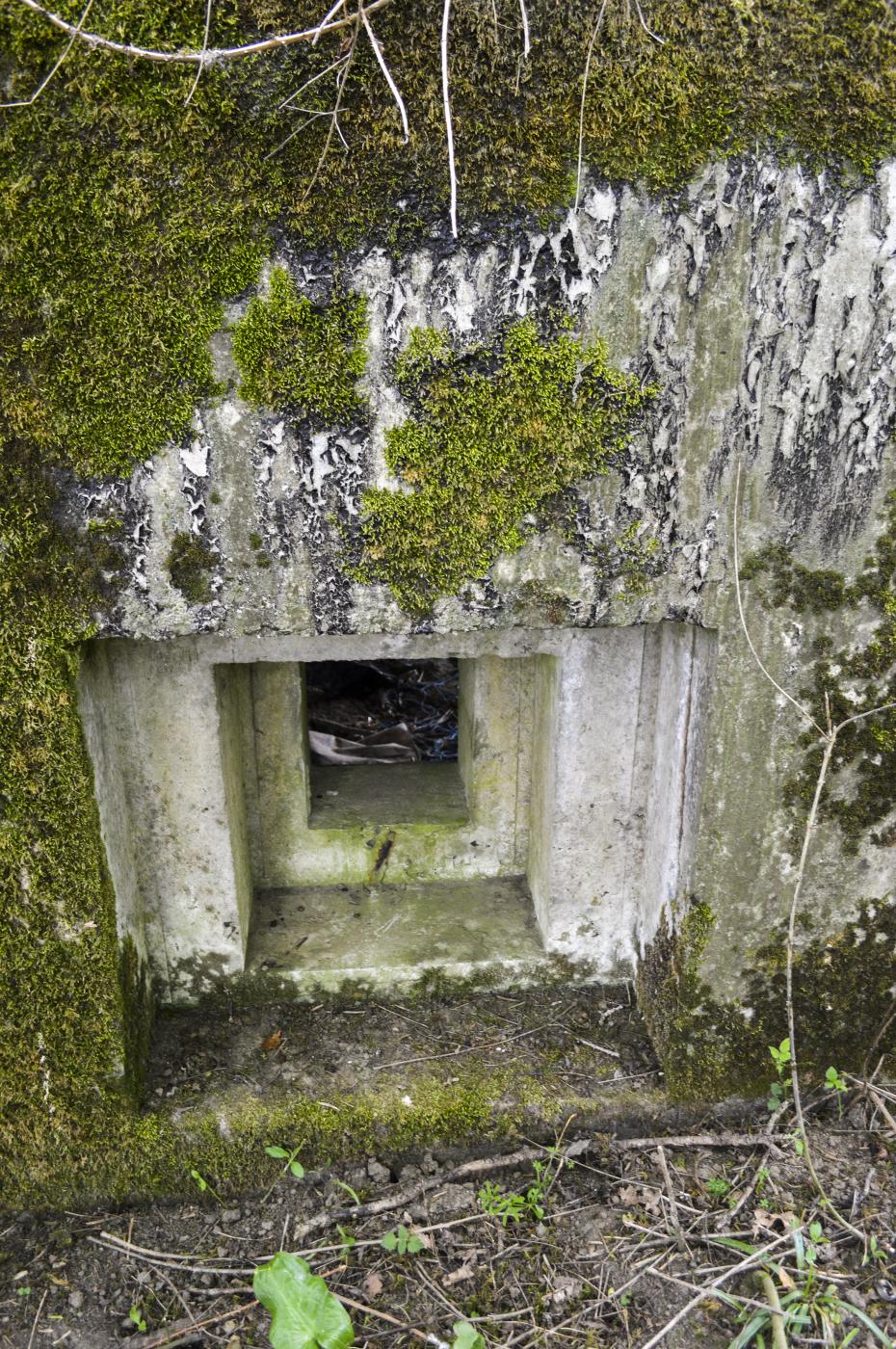 Ligne Maginot - B344 - BOIS DE VARLET NORD - (Blockhaus pour canon) - Le créneau latéral - ukmaginot
