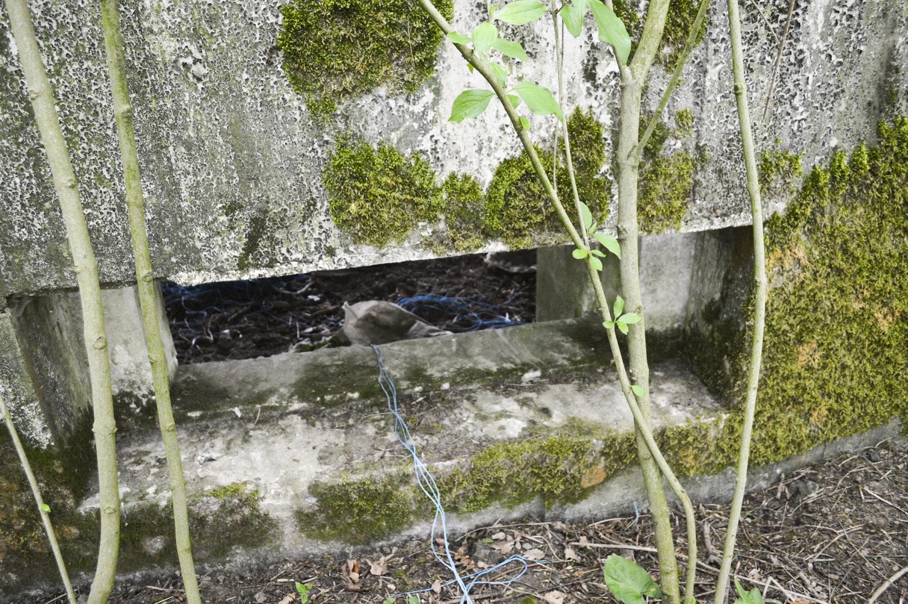 Ligne Maginot - B344 - BOIS DE VARLET NORD - (Blockhaus pour canon) - Le créneau principal - ukmaginot