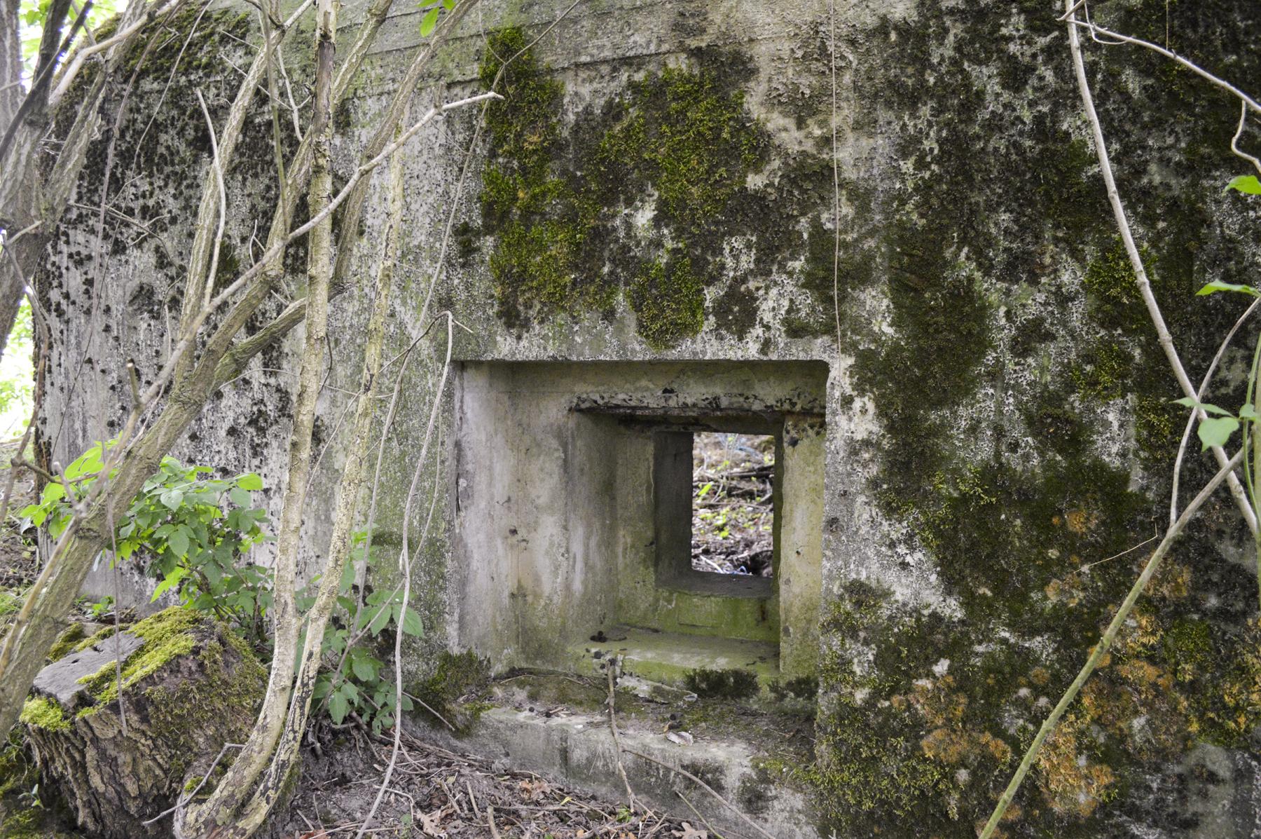 Ligne Maginot - B344 - BOIS DE VARLET NORD - (Blockhaus pour canon) - Le créneau latéral - ukmaginot