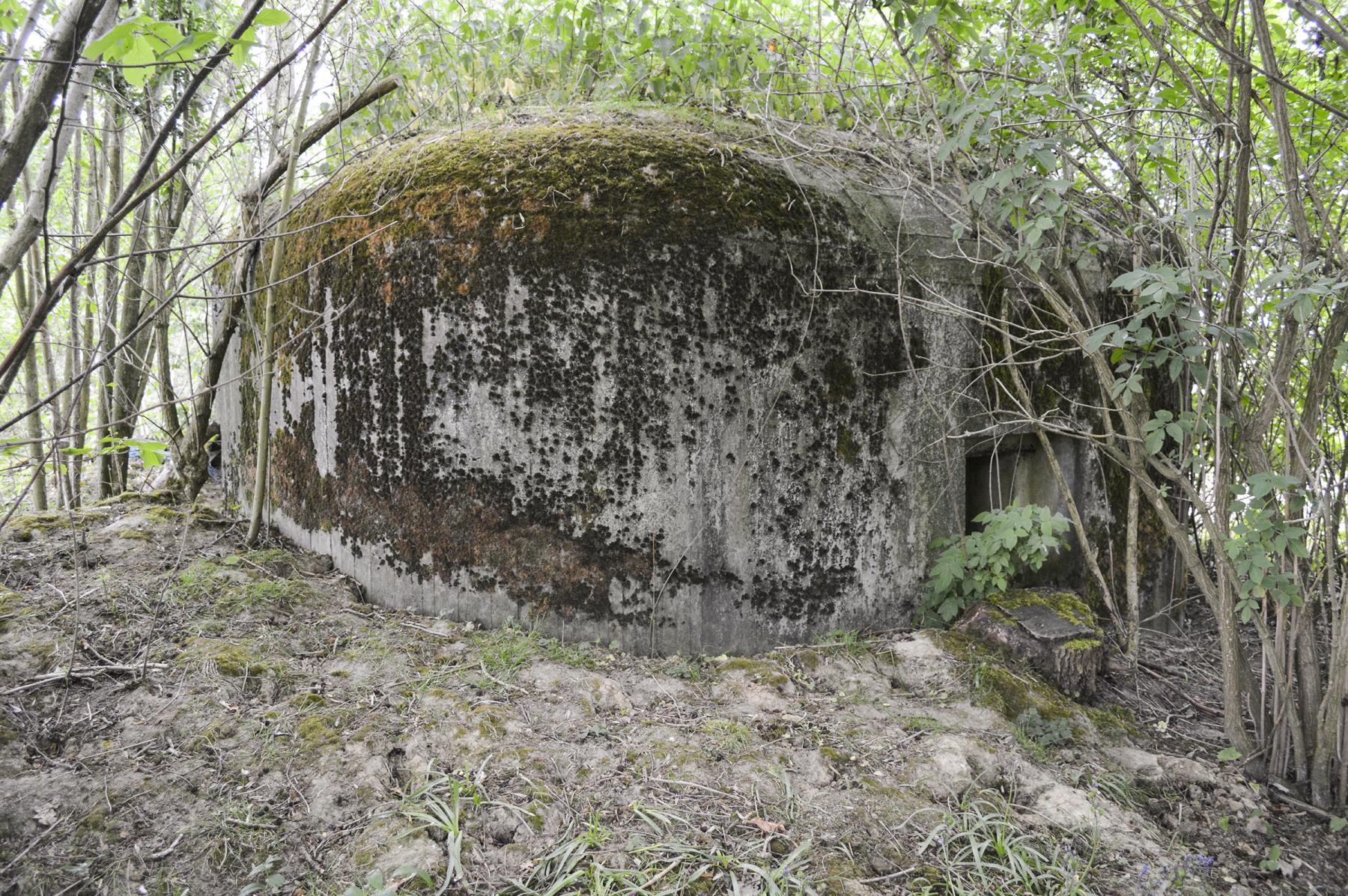 Ligne Maginot - B344 - BOIS DE VARLET NORD - (Blockhaus pour canon) -  - ukmaginot