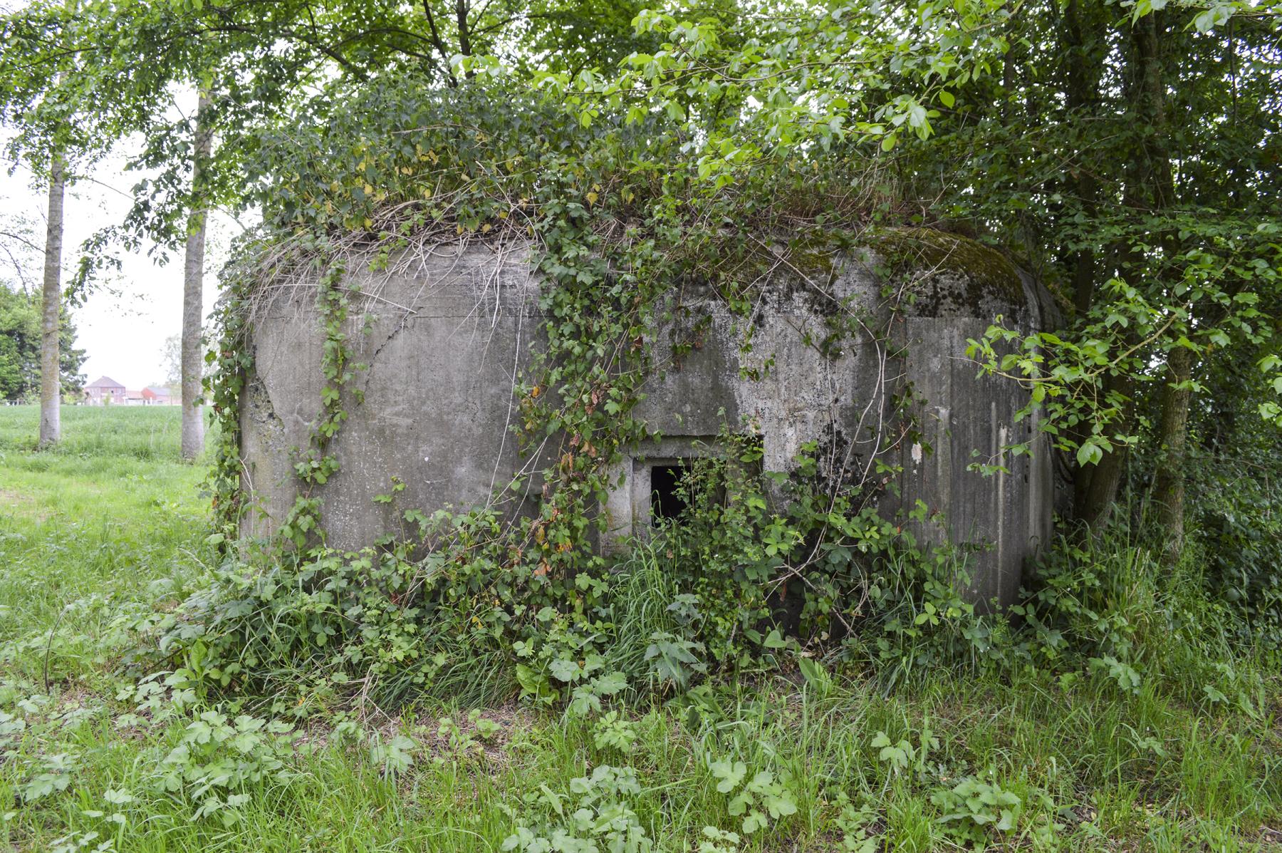 Ligne Maginot - B343 - BOIS DE BERCU NORD - (Blockhaus pour canon) -  - ukmaginot