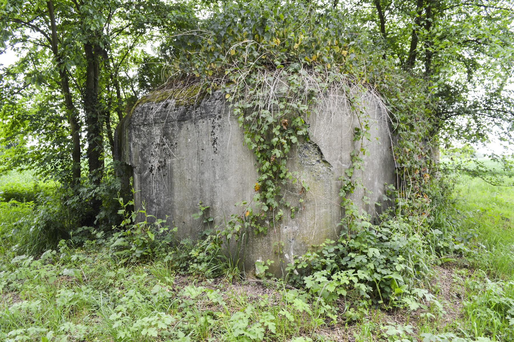 Ligne Maginot - B343 - BOIS DE BERCU NORD - (Blockhaus pour canon) -  - ukmaginot