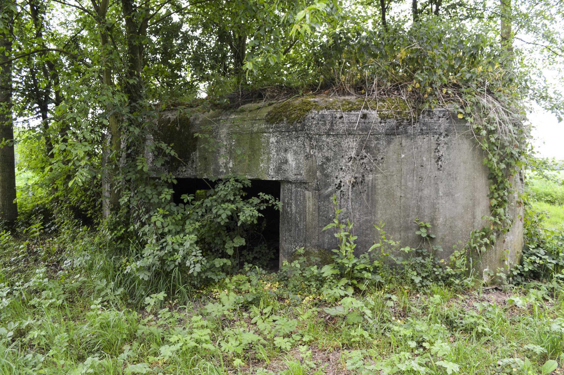 Ligne Maginot - B343 - BOIS DE BERCU NORD - (Blockhaus pour canon) -  - ukmaginot