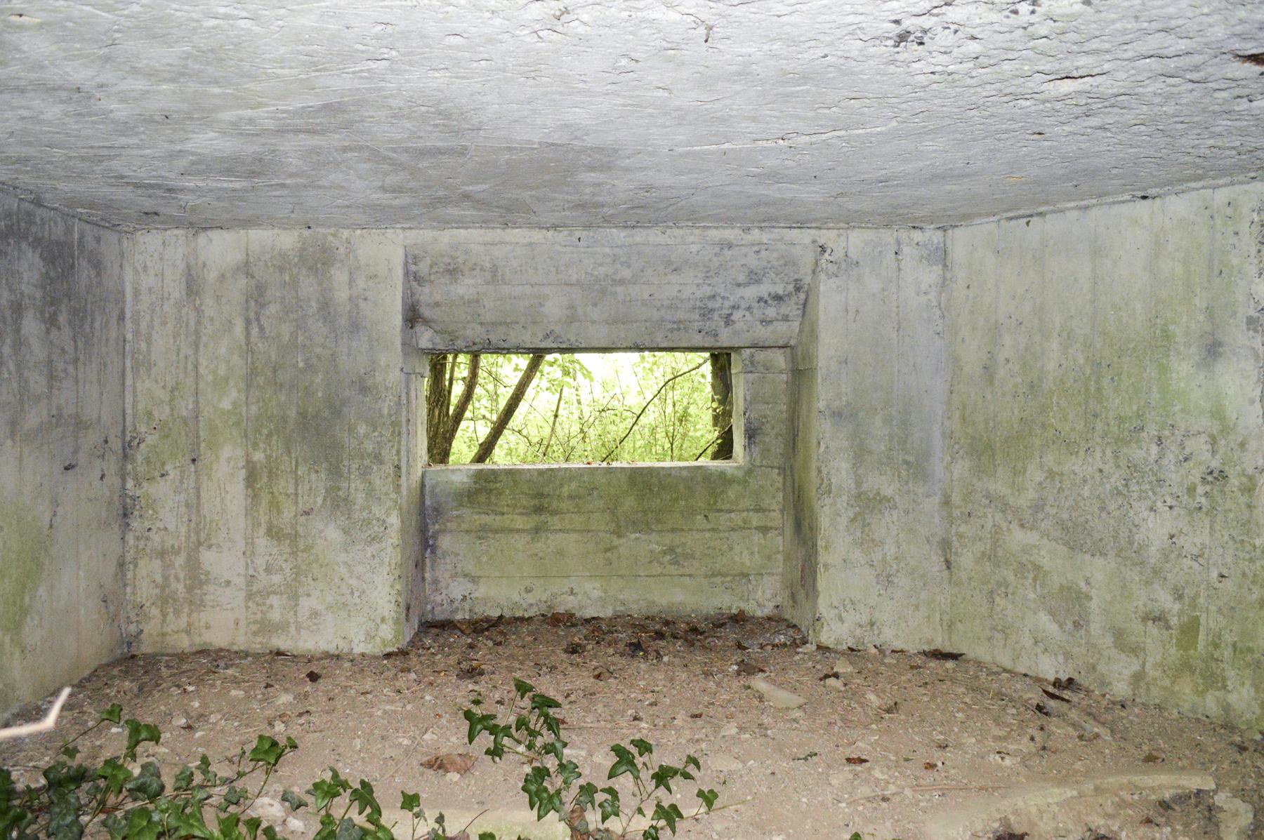 Ligne Maginot - B343 - BOIS DE BERCU NORD - (Blockhaus pour canon) -  - ukmaginot