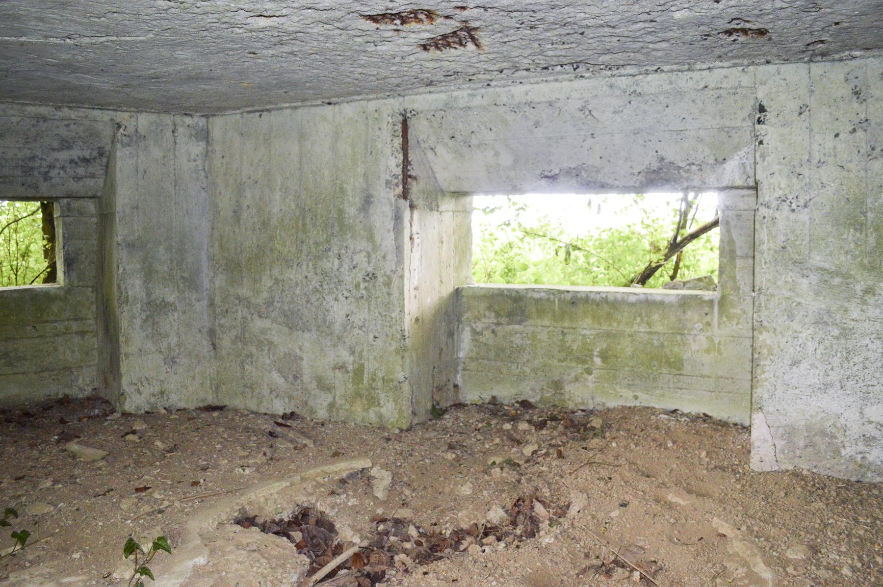 Ligne Maginot - B343 - BOIS DE BERCU NORD - (Blockhaus pour canon) -  - ukmaginot