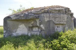 Ligne Maginot - SUD DE BRUILLE - (Blockhaus pour canon) - 