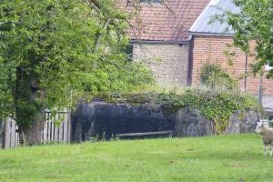 Ligne Maginot - B525 - MOULIN D'EN BAS NORD - (Blockhaus pour canon) - 