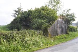 Ligne Maginot - B529 - BOIS DE LA FERRIERE SUD - (Blockhaus pour canon) - 